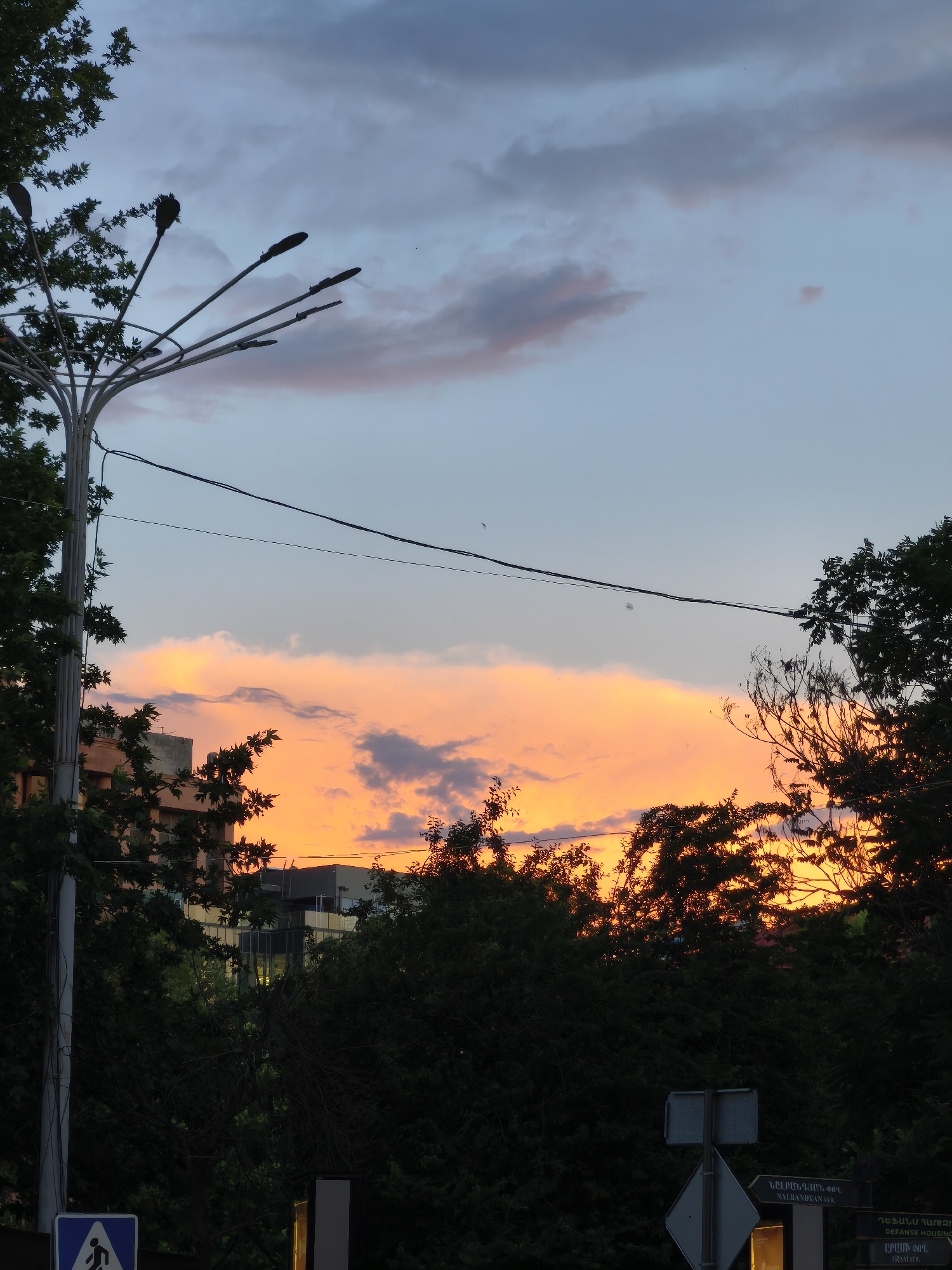 An upward-facing, medium shot captures a vibrant sunset over a city skyline. The sky is a gradient of soft blues and greys at the top, transitioning to a brilliant orange and yellow band of clouds near the horizon, reflecting the last rays of the sun. Silhouetted against this dramatic sky are the dark shapes of lush green trees and buildings. A multi-arm street light with several lamps extends from the left side of the frame, and power lines crisscross the upper portion of the image. The overall atmosphere is serene and picturesque, highlighting the natural beauty of the sunset juxtaposed with the urban environment.