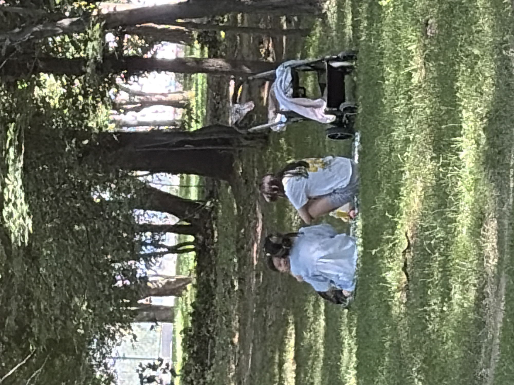 Two individuals, likely children, are seated on a picnic blanket in a grassy park area, surrounded by trees. One individual is wearing a light blue shirt and the other a white shirt with a yellow design. A stroller with blankets is positioned to the right of the individuals. The ground is covered in green grass and fallen leaves. The scene appears to be during daylight.