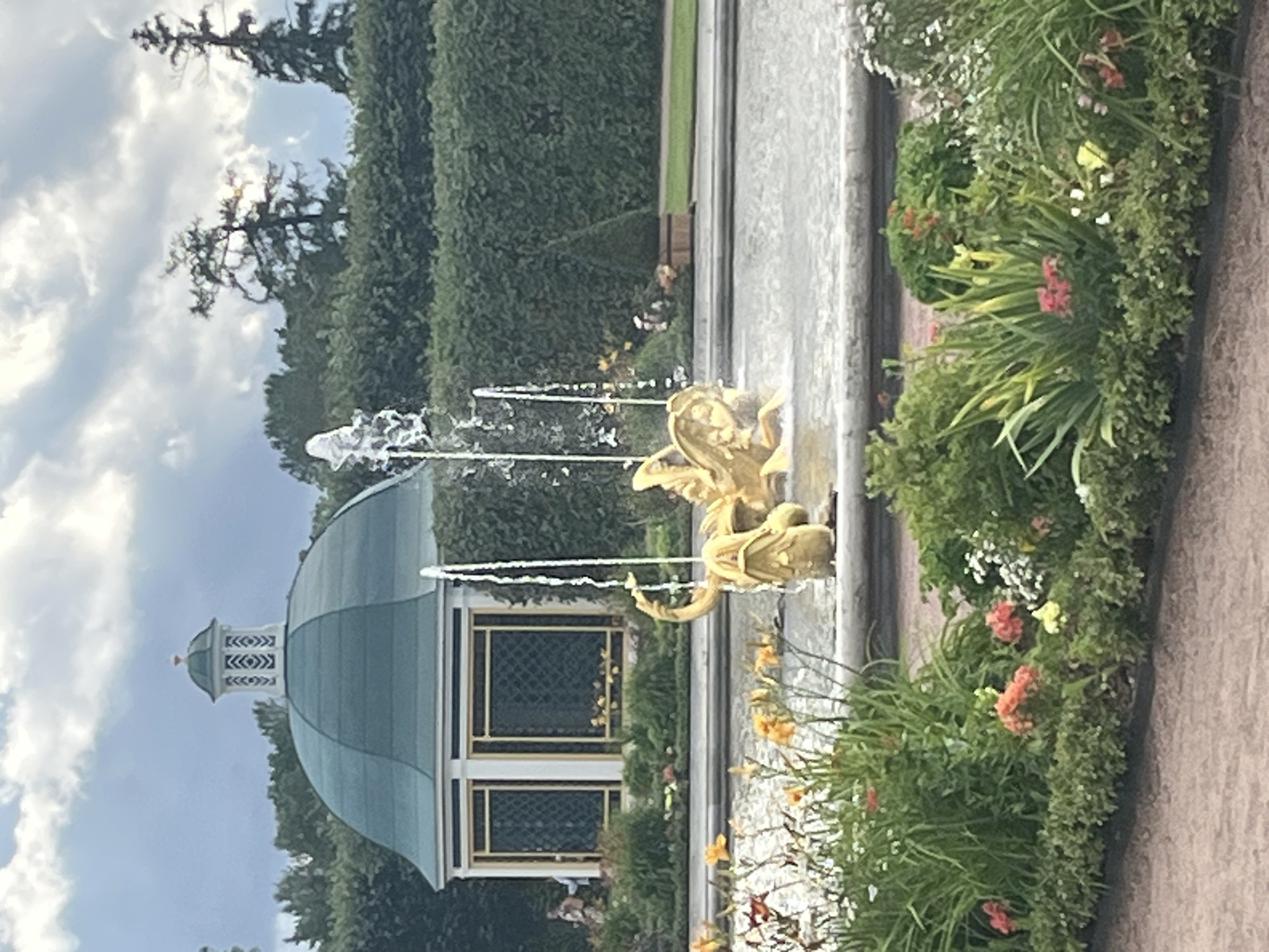 The image shows a garden scene at the Peterhof Palace complex in Peterhof, Russia. In the foreground, a fountain with a golden sculpture of mythical creatures, possibly sea monsters or dragons, is active, with water jets spraying upwards. The fountain is surrounded by a pool of water and a border of lush green plants and colorful flowers, including orange lilies and pink and white blossoms. Behind the fountain and to the left, a white gazebo with a green domed roof and intricate latticework windows is visible. The gazebo is set against a backdrop of manicured green hedges and trees. Further to the left, a person can be seen near the gazebo. The sky above is cloudy.
