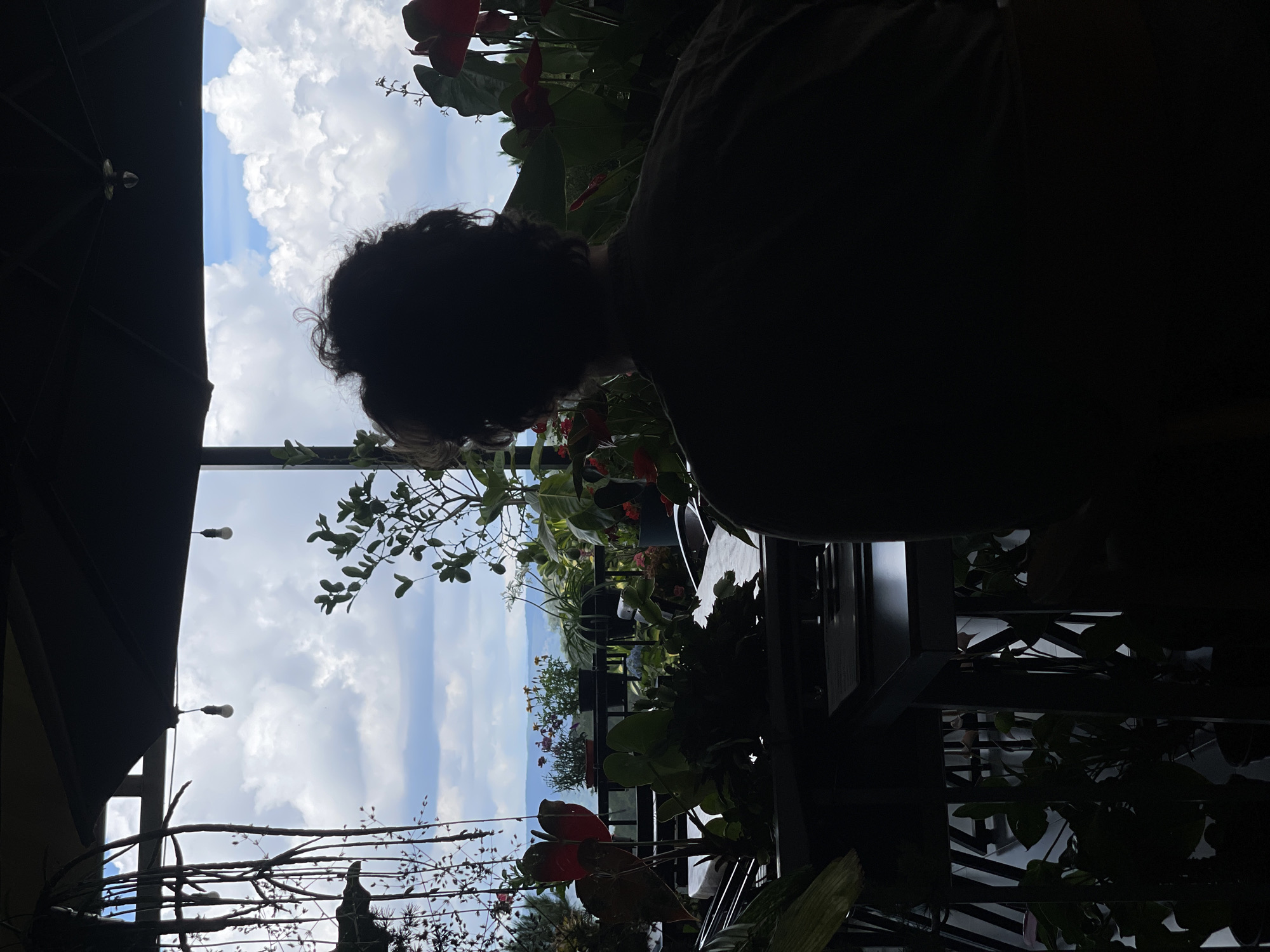 The image, likely taken during daylight hours, shows a view from a structure, possibly a balcony or veranda, in Da Lat, Vietnam. The foreground is obscured by a dark figure of a person, with their head and torso visible. The subject's hair appears curly. In the midground, various plants and flowers are present, suggesting a garden or natural setting. In the background, a blue sky with white clouds is visible, indicating the location is likely an elevated area with an open view. The image's composition and available lighting suggest a candid or spontaneous capture.