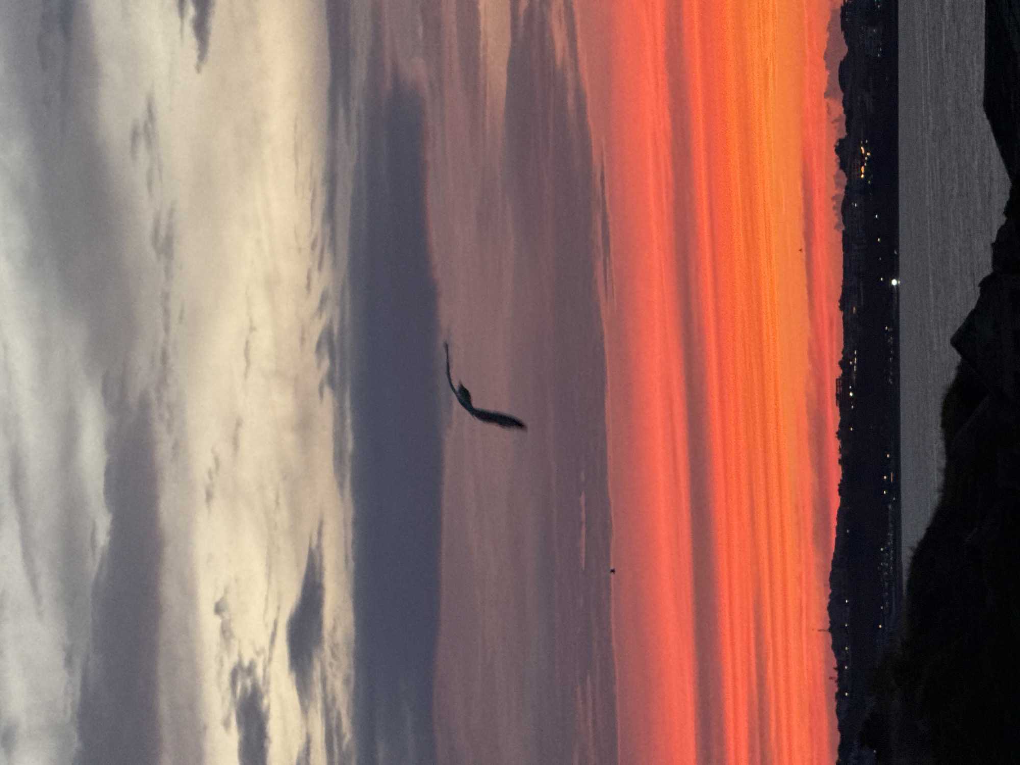 A seagull is captured mid-flight against a vibrant sunset sky over the coast of Sozopol, Bulgaria. The sky transitions from a fiery orange and red near the horizon to softer pinks and grays as it ascends. Below the horizon, the dark silhouette of the coastline is visible, with distant lights suggesting buildings and structures. The sea, calm and reflecting the twilight hues, occupies the lower portion of the frame. The overall scene evokes a serene and picturesque coastal evening.