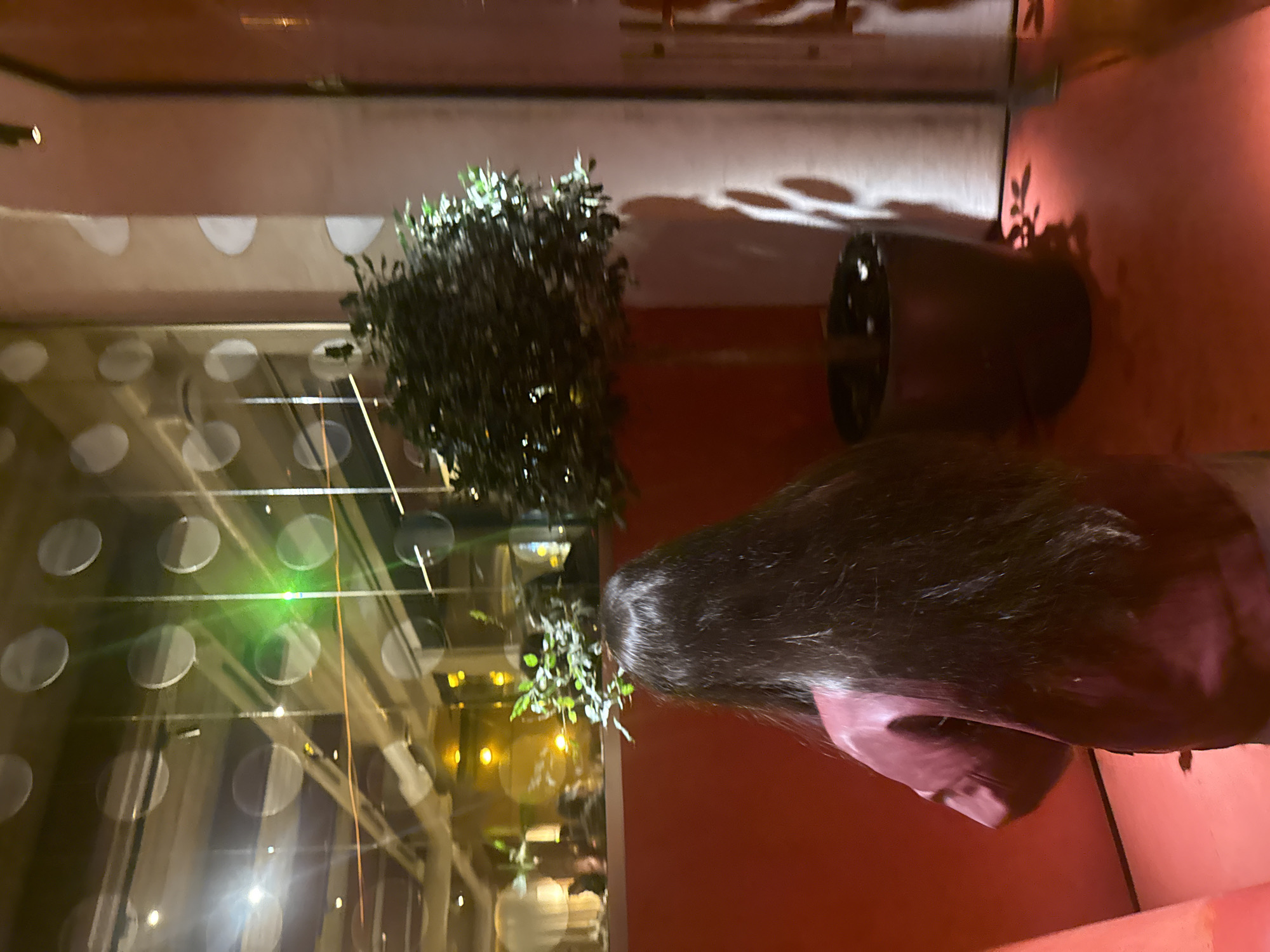 The image shows a dimly lit interior, seemingly in a modern building. Visible are architectural details including a wall with decorative circular indentations. A potted plant with dark green foliage is near a large window. A person with long, dark hair wearing a dark top is partially visible. The background color is a reddish-brown. The photo has been taken indoors, possibly in a restaurant or lounge with elements of modern design. There is no specific information to determine its location as Yerevan, Armenia.