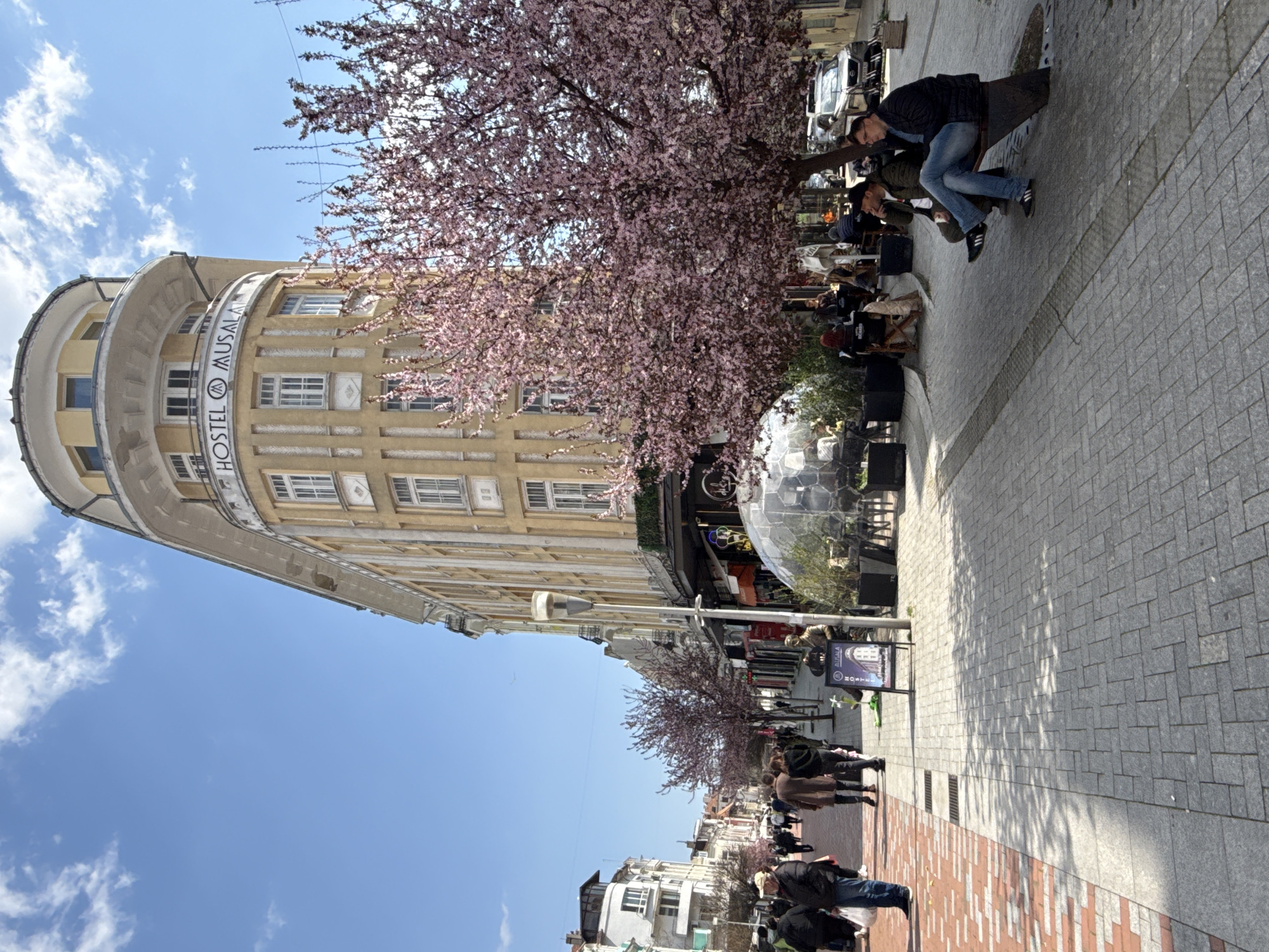 The image depicts a street scene in Varna, Bulgaria, characterized by a mix of architectural styles and vibrant urban life.
**Environment:** The street is paved with rectangular gray stones, bordered by a strip of reddish-brown bricks. Buildings of varying heights line the street, including a large, beige building with a curved facade, identifiable as the "Hostel Musala" based on visible signage. Flowering trees with pink blossoms are prominent, adding to the scene's visual appeal. The sky is bright blue with scattered clouds.
**People:** Numerous individuals are present, engaged in various activities. Some are walking along the sidewalk, while others are seated at outdoor tables of a cafe. Two men are seated on a stone structure, possibly a low wall or planter.
**Objects:** The scene features a mix of urban elements, including streetlights, a clear dome-shaped structure (possibly part of a cafe or restaurant), signage (including one for Hostel Musala), parked vehicles, and outdoor seating arrangements.
**Actions and Interactions:** People are interacting with each other at the cafe tables, walking along the street, and simply observing the surroundings. The overall atmosphere is lively and suggestive of a pleasant day in the city.
