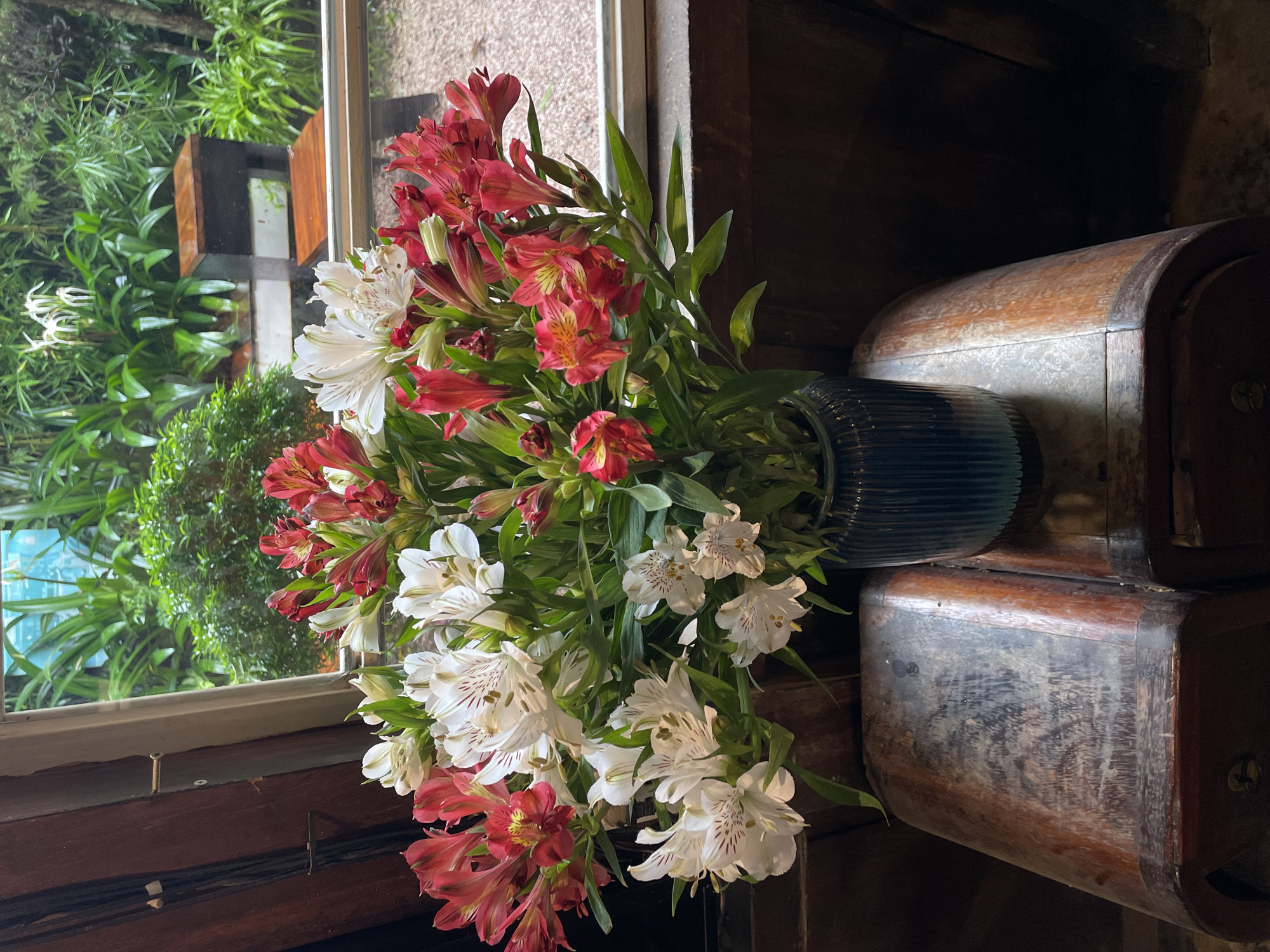 A bouquet of red and white alstroemeria flowers is arranged in a dark blue, ridged vase. The vase sits on top of a wooden trunk, possibly an antique or vintage piece. The flowers are positioned near a window, through which green foliage is visible. The scene appears to be indoors. The photograph was likely taken in Lâm Viên - Đà Lạt, Vietnam.