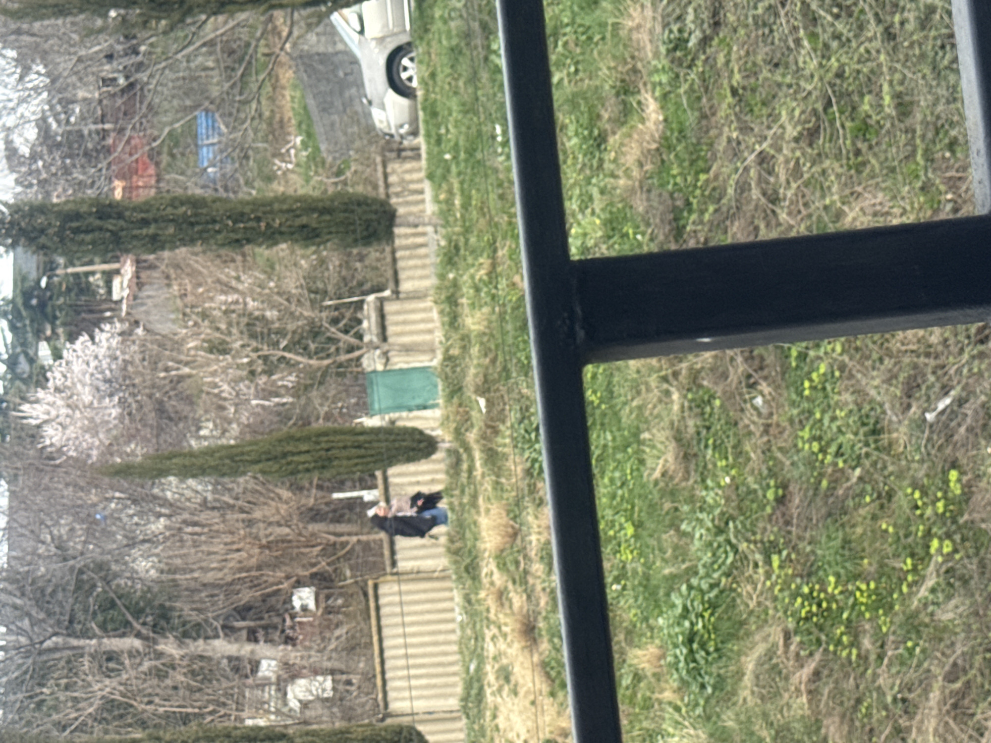 The image presents an elevated outdoor scene in Tbilisi, Georgia, characterized by a transition from late winter to early spring. In the immediate foreground, a black metal railing diagonally traverses the lower frame, obscuring the ground directly beneath the viewpoint. Below the railing, a sloped area features a mix of dry brown grass, vibrant green patches, and scattered smaller green plants, some with small yellow flowers.
The midground is dominated by a light-colored, corrugated metal fence running horizontally across the frame. Behind this fence, a dirt or unpaved path is visible. Two individuals are present on or directly beside this path: one person is clad in a dark jacket and light-colored trousers (likely blue jeans), walking next to a smaller, mostly obscured individual, also in dark attire. Their action is forward movement along the path. To the right of these individuals, integrated into the corrugated fence, is a single, rectangular, dark green metal gate. Further right on the same level, a light-colored SUV (possibly silver or beige) is partially visible, showing its front passenger side and front wheel. Three tall, slender, dark green columnar trees, consistent with cypress, punctuate the midground: one to the left of the individuals, one to their right, and another further right near the vehicle.
The background consists of a dense arrangement of trees, predominantly deciduous and bare, signifying a dormant period. However, some trees display light-colored (white or pale pink) blossoms, indicating the onset of spring. Interspersed among the trees are various indistinct structures, including fragments of buildings and objects covered by tarpaulins (one blue, one reddish-brown), suggesting a residential area on a sloped landscape.
