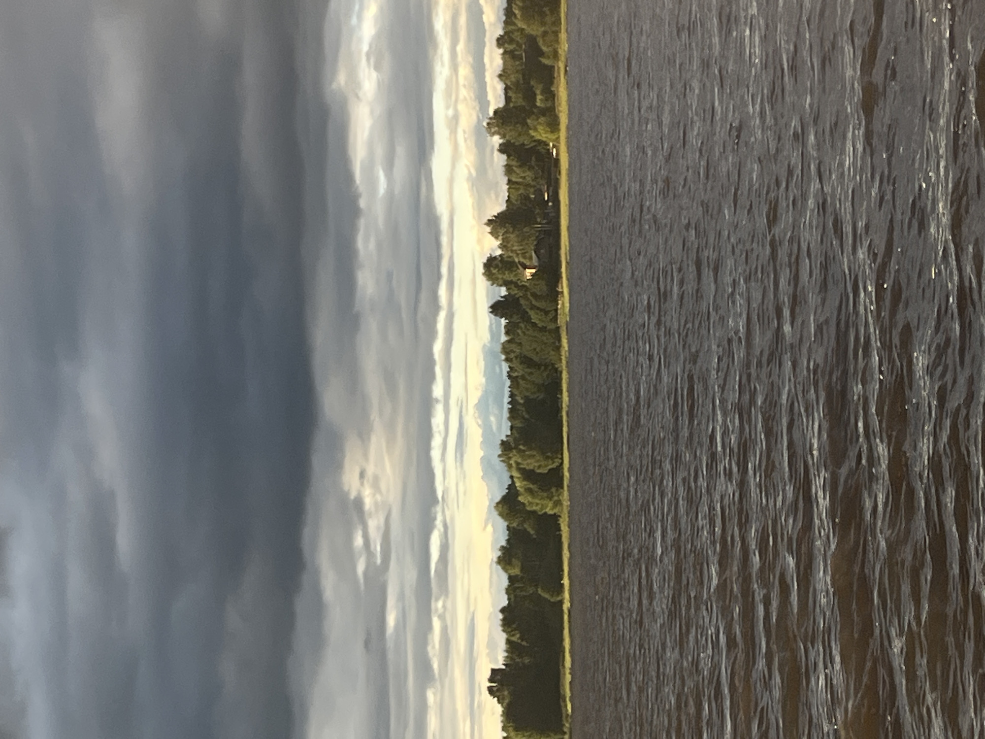 A body of dark, rippling water occupies the lower half of the frame. A dense line of green trees forms a horizon across the mid-section of the image, with some structures, possibly houses, visible within the treeline. Above the trees, a broad band of sky displays a dramatic cloud formation. The clouds are a mix of dark grays and lighter whites, suggesting an overcast or possibly stormy condition. The overall scene depicts a natural landscape, likely a lake or riverbank, under a moody sky. There are no people or animals visible in the image.