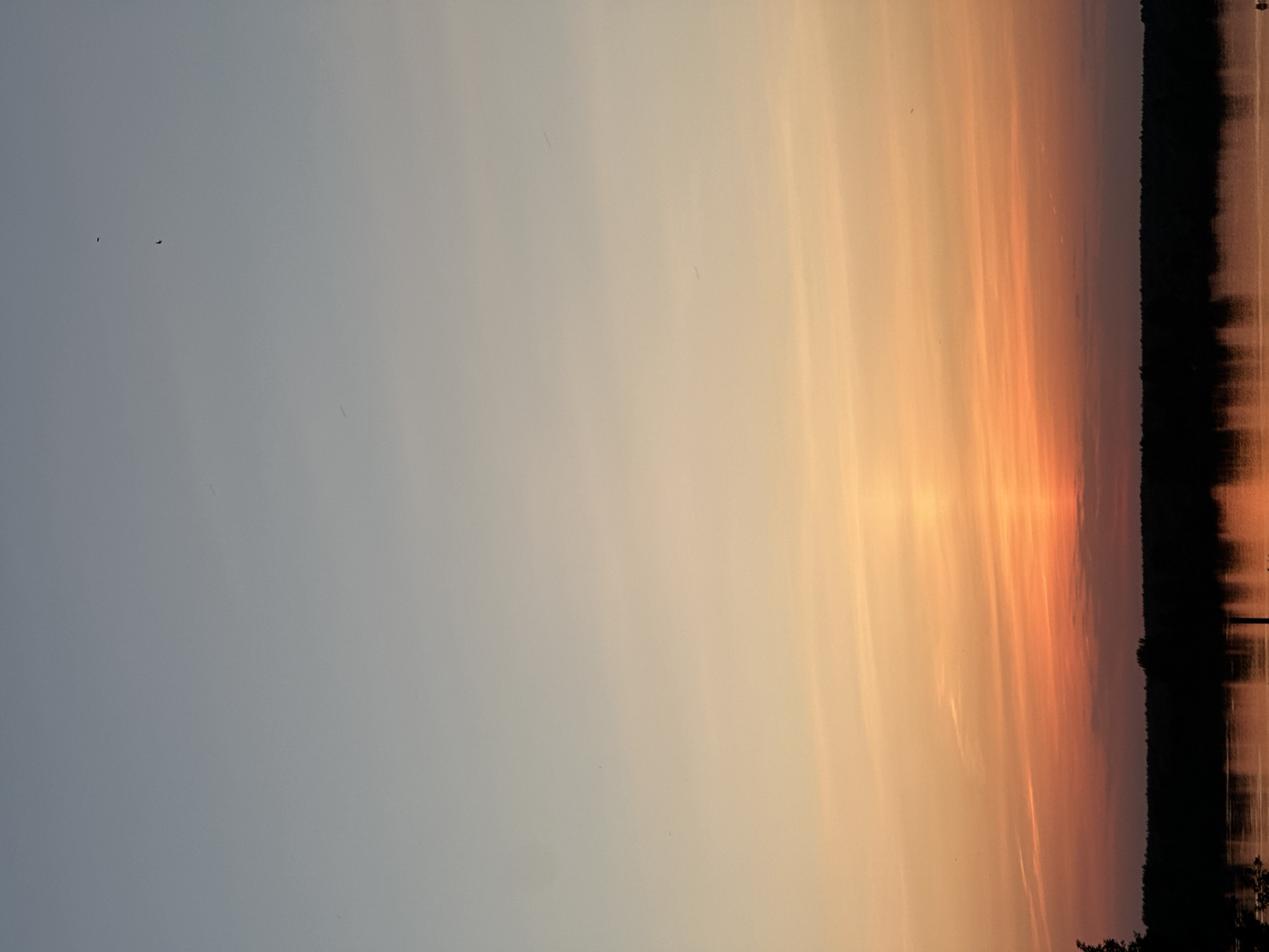 The image shows a sunset over a body of water, likely a lake or river. The sky transitions from a pale blue on the left to orange and pink on the right near the horizon. Dark trees are visible along the horizon line. Reflections of the sky and trees are visible in the water. There are a few small birds visible in the sky. It may be in the city of Chaikovsky, Russia.