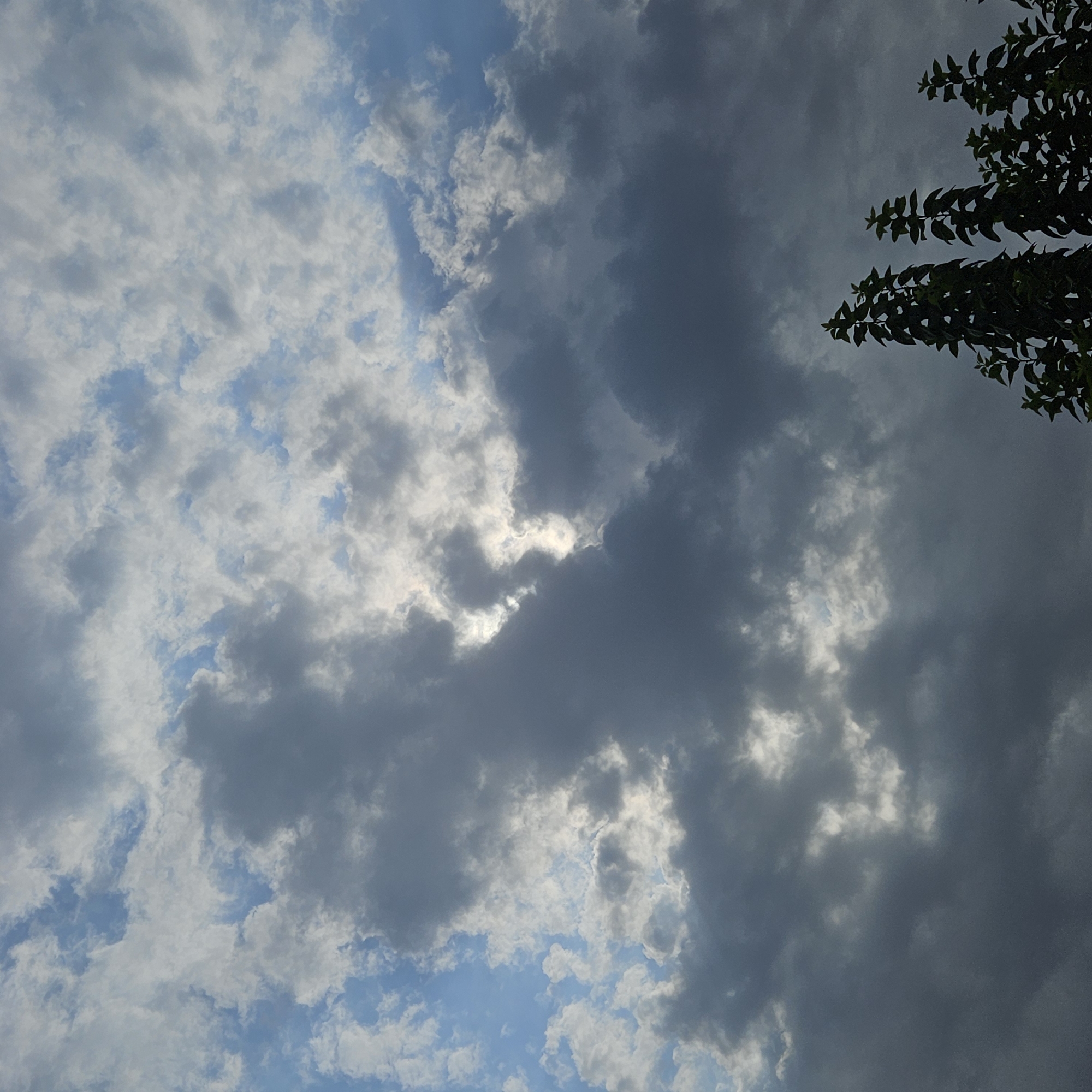 The image depicts a sky filled with a mix of dark and light clouds, with patches of blue sky visible. The sun is partially obscured by the clouds, creating areas of bright light. In the lower right corner of the frame, the dark silhouettes of the tops of several leafy trees are visible against the cloudy sky. The scene suggests an outdoor environment, likely on a partly cloudy day. There are no people or specific man-made structures visible in the image that would allow for definitive identification of a location within Andijan City, Uzbekistan.