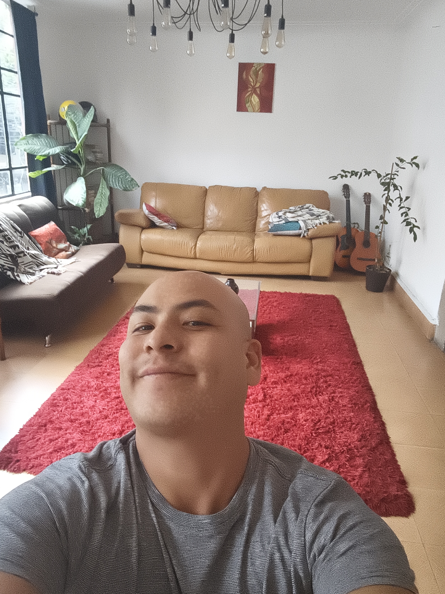 A selfie-style photograph taken indoors shows a bald man wearing a gray t-shirt. He is positioned in the foreground, and the background reveals a furnished living room. The room contains a brown sofa and a tan leather couch, with a red rug covering the floor between them. Two guitars are placed against the wall to the right of the couch, next to a potted plant. The walls are painted white, and a modern chandelier hangs from the ceiling. There is also a piece of art hanging on the wall above the couch. A potted plant is to the left of the brown sofa by a window with a dark curtain. Based on the architectural style, design, and potential plant life, this scene may be consistent with a residential interior in Mexico City, Mexico.
