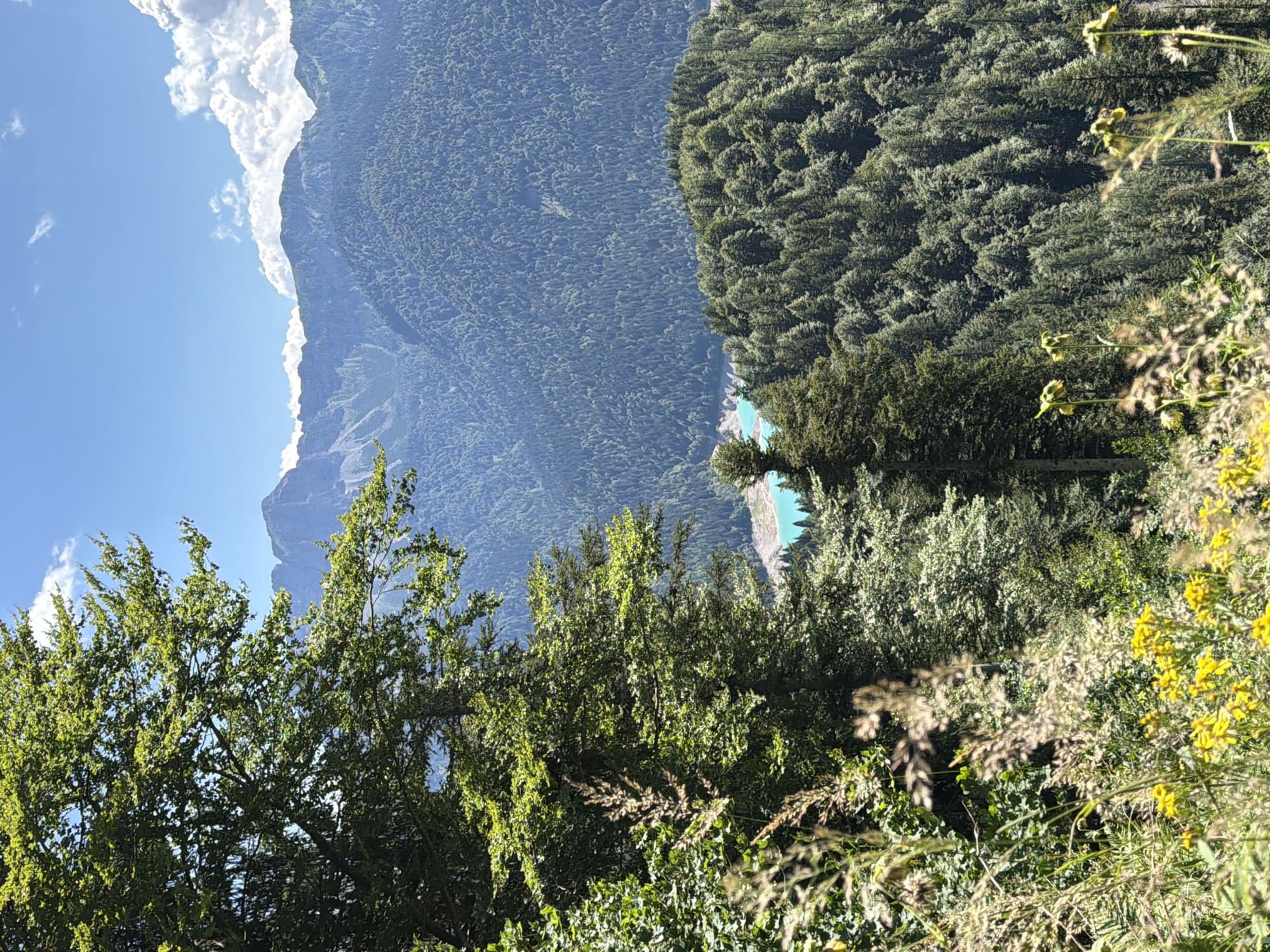 The image depicts a scenic mountain landscape with a vibrant turquoise lake nestled among dense green forests. In the foreground, a large tree with lush green foliage partially obscures the view of the lake and the distant mountain range. The sky is a clear blue with scattered white clouds. The composition suggests a natural, undisturbed environment. The location is identified as being in the vicinity of Lateis / Latais, Italy, known for its picturesque mountain scenery.