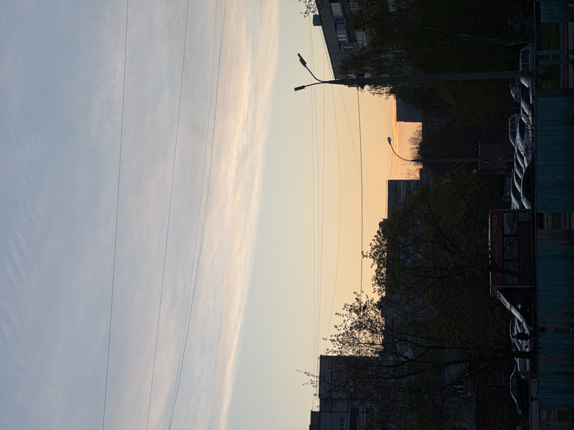 The image displays an urban or suburban landscape captured during either sunrise or sunset, with the scene oriented such that the sky occupies the left half and the ground level with buildings and trees occupies the right half, separated by a vertical horizon line.
On the left, the sky exhibits a striking gradient, transitioning from a soft, light blue-grey on the far left to a warm, gentle yellow-orange towards the vertical horizon line. Delicate, wispy clouds are subtly present in the cooler parts of the sky. Several thin, dark utility wires stretch horizontally across the sky, adding linear elements to the celestial expanse.
On the right side of the image, the landscape is largely presented in silhouette or deep shadow. Dark forms of multi-story buildings, possibly apartment complexes, are visible, interspersed with trees showing sparse, early spring foliage. Two streetlights with curved arms and double fixtures stand out against the warmer sky. Towards the bottom right, the tops of several parked cars are discernible, alongside a building with distinct vertical paneling.
The time of day is clearly indicated by the intense warm glow near the horizon, typical of the "golden hour" at either dawn or dusk, creating a serene and tranquil atmosphere.
Visible text on a large, dark sign on the right side includes Cyrillic characters. Partially decipherable words are "ДОМАШНЯЯ КУРОЧКА" (Homemade Chicken), and further down, "ПИВО" (Beer), "МЯСО" (Meat), "КОЛБАСЫ" (Sausages), and "ПРОДУКТЫ" (Products), suggesting a local food store or market.