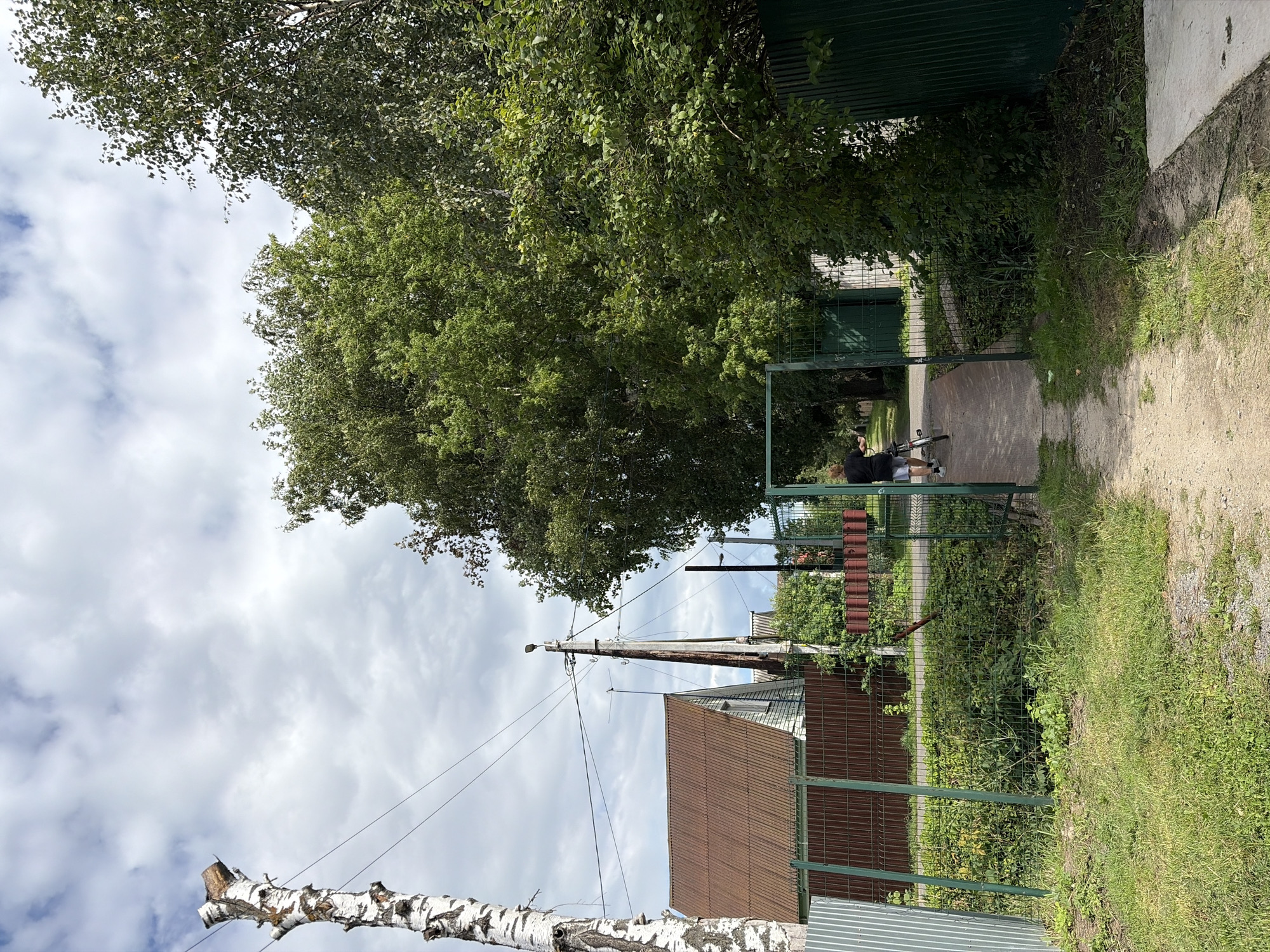 A person walks away from the camera on a dirt path towards an open green metal gate, holding a bicycle. The person wears a black t-shirt and grey shorts. The path leads through a green metal fence with a concrete section on the right. Beyond the fence to the left, a house with a brown corrugated roof is visible. To the right of the path and behind the fence, lush green trees and foliage are abundant. A tall, bare birch tree with white and black bark stands to the left of the frame, with power lines running across the sky. The sky is partly cloudy with white and grey clouds. The scene is set in Нерудник Снт, Russia.