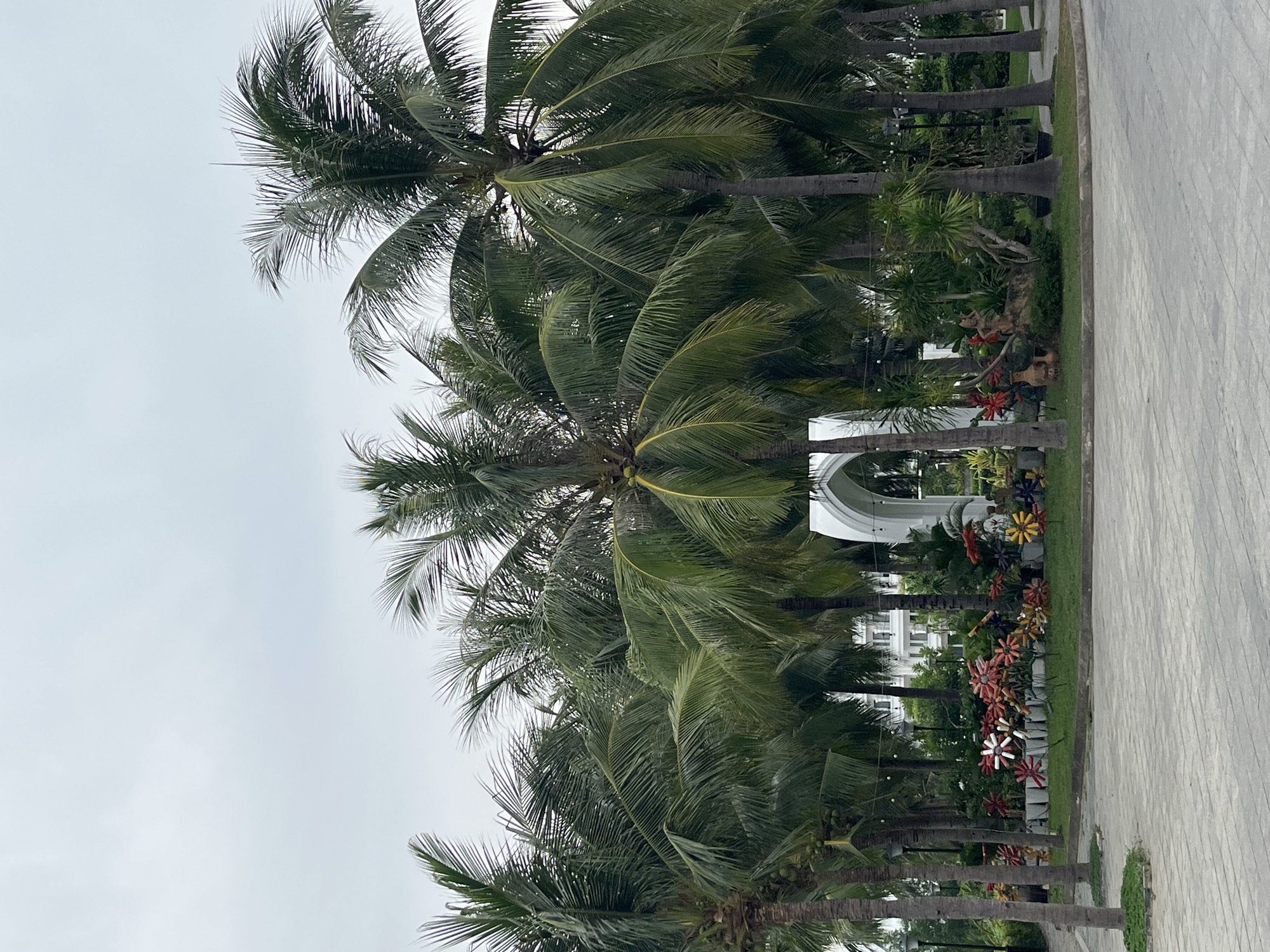 In Nha Trang, Vietnam, a paved walkway curves around a grassy area dotted with colorful, abstract flower sculptures and a few earthen vases. Beyond this garden, a cluster of tall palm trees partially obscures a white, arched structure and a multi-story building. The sky is overcast.