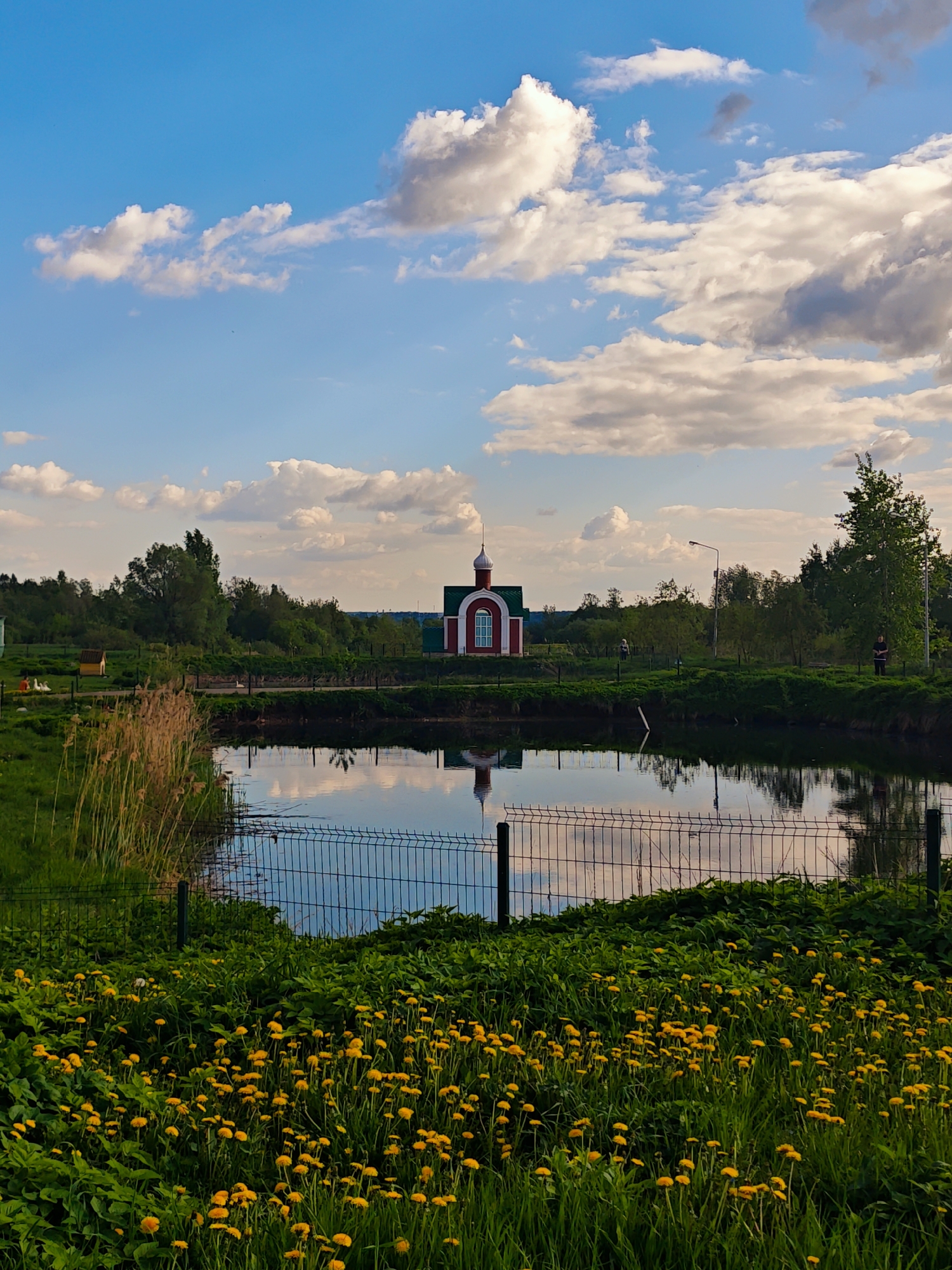 The image presents a serene view of a landscape in Луговой, Russia. Dominating the background is a small church-like structure with red walls and a green roof, its reflection visible on the calm water surface of a pond or small lake. The sky above is adorned with puffy white clouds set against a clear blue background.
In the foreground, a wire fence acts as a partial barrier, beyond which a lush field of green vegetation is punctuated by numerous yellow dandelions, suggesting a natural, undisturbed environment. The reflection of the sky and clouds on the water suggests stillness, adding to the tranquility.
The presence of trees on the far bank of the pond, along with a few streetlights, indicates the proximity of civilization. The scene is bathed in sunlight, suggesting it is daytime, with the even lighting providing clear visibility of the various elements. There is at least one person standing on the other side of the pond.