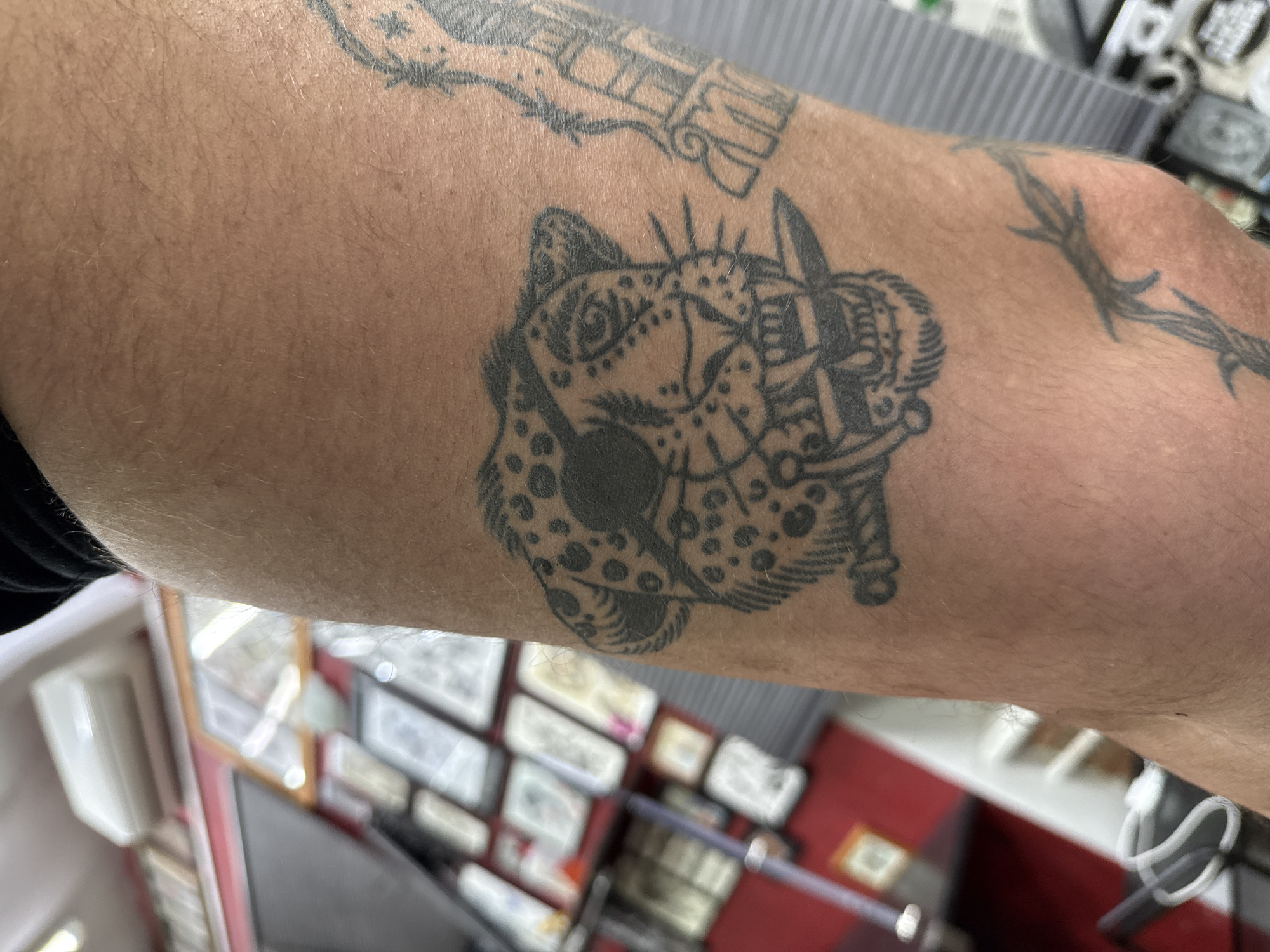 The image shows a person's arm with several tattoos. The most prominent tattoo is of a jaguar's head with a dagger through its mouth. Above this tattoo, there's another tattoo that appears to be a gun. Additionally, there's a tattoo resembling barbed wire further up the arm, closer to the elbow. The background shows a glimpse of what looks like a tattoo parlor, with framed artwork or tattoo designs on the wall and various tattoo-related tools or equipment visible. There is no indication of the location being Moscow, Russia.