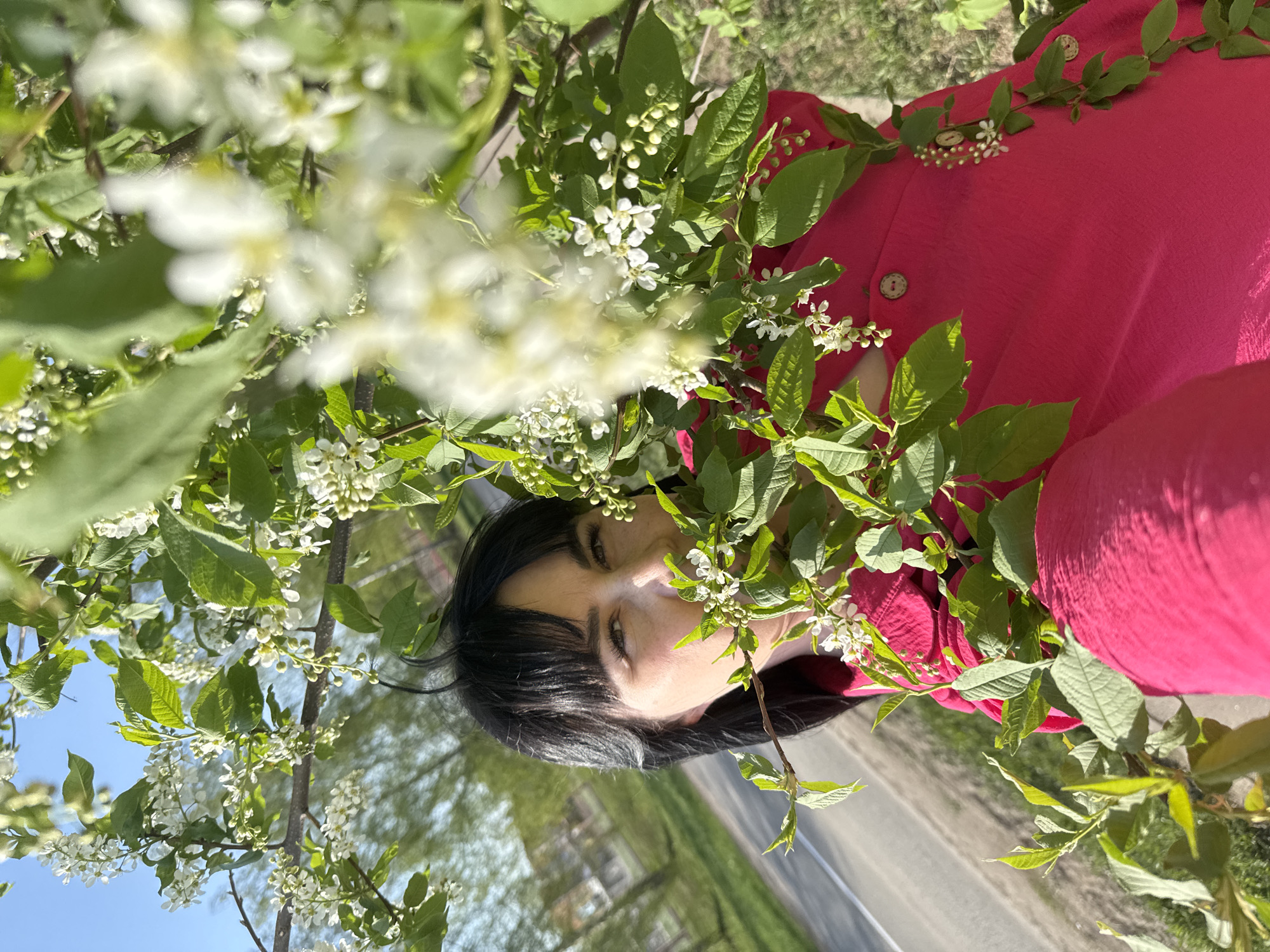 A woman with dark hair and wearing a red top is photographed in an outdoor setting. She is positioned amidst a blossoming tree with white flowers and green leaves, some of which partially obscure her face. The background includes a road, grass, and trees, suggesting a park or roadside location in the city of Zav'yalovo, Russia. The image is oriented in a slightly tilted manner.