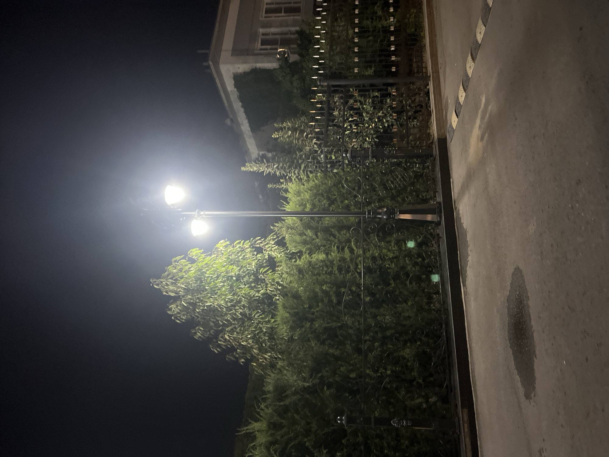 A night scene shows a street lamp illuminating a paved area with a puddle. In the background, a black ornate fence encloses a garden with tall, manicured evergreen trees and a larger deciduous tree. Beyond the garden, a building with windows is visible. The lighting from the street lamp creates a strong glow.