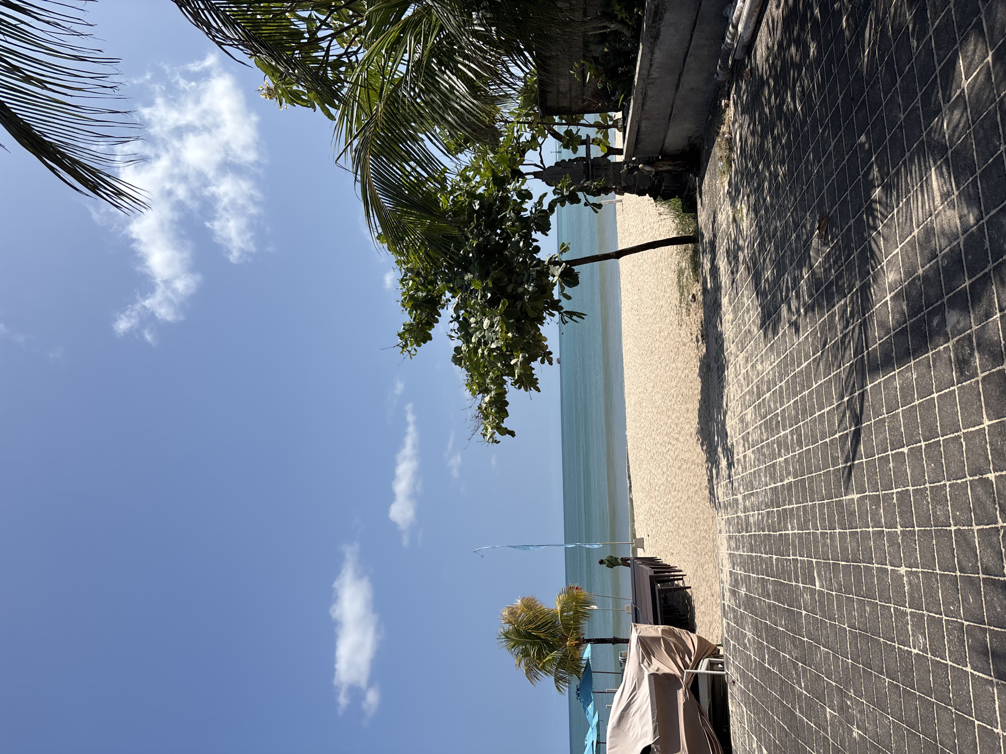 The image depicts a beachfront scene in Kuta, Indonesia, under a partly cloudy sky. A gray tiled walkway occupies the foreground, transitioning to a sandy beach. The beach extends towards a calm sea in the background. A solitary tree with green foliage leans over the beach. Palm trees are present, framing the sky and casting shadows on the walkway. In the lower portion, sun umbrellas, and a sun-deck area, are arranged, with hints of a building structure visible behind them. There are also two flags on the beach near the sun-deck. The scene is still.