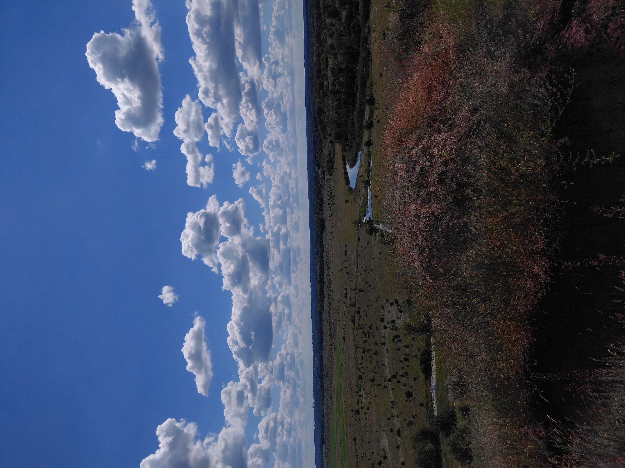 The image depicts a panoramic view of a rural landscape under a partly cloudy sky. In the foreground, the top of a dark, overgrown hill is visible, covered with dry grasses and brush. Beyond the hill, a wide, flat plain stretches out, dotted with sparse trees and vegetation. A winding river or stream cuts through the middle ground, reflecting the blue sky. In the distance, a treeline forms the horizon, with a hint of civilization or a town visible as a faint outline against the sky. The overall impression is one of natural serenity and open space. The location is identified as Ustyvytsia, Ukraine. There are no people or animals visible in the image.