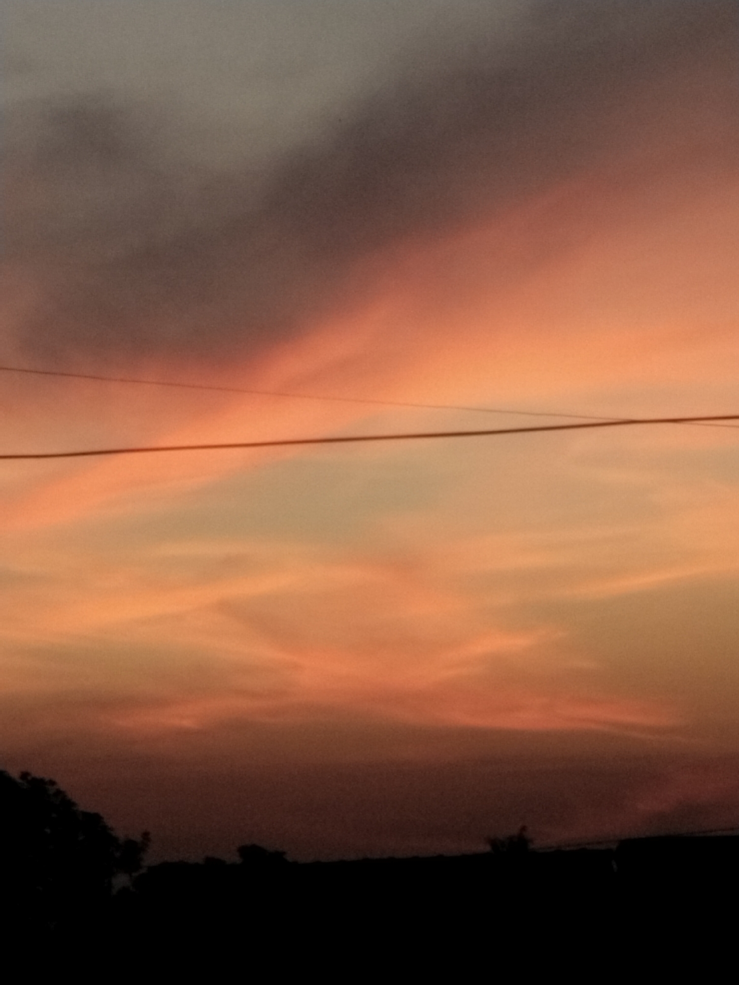 The image shows a dark silhouette of trees and bushes against a sunset sky. The sky is filled with streaks of orange and pink clouds, with a darker grey cloud bank at the top. A thin black wire stretches horizontally across the middle of the frame. The overall scene is one of a natural landscape at dusk.