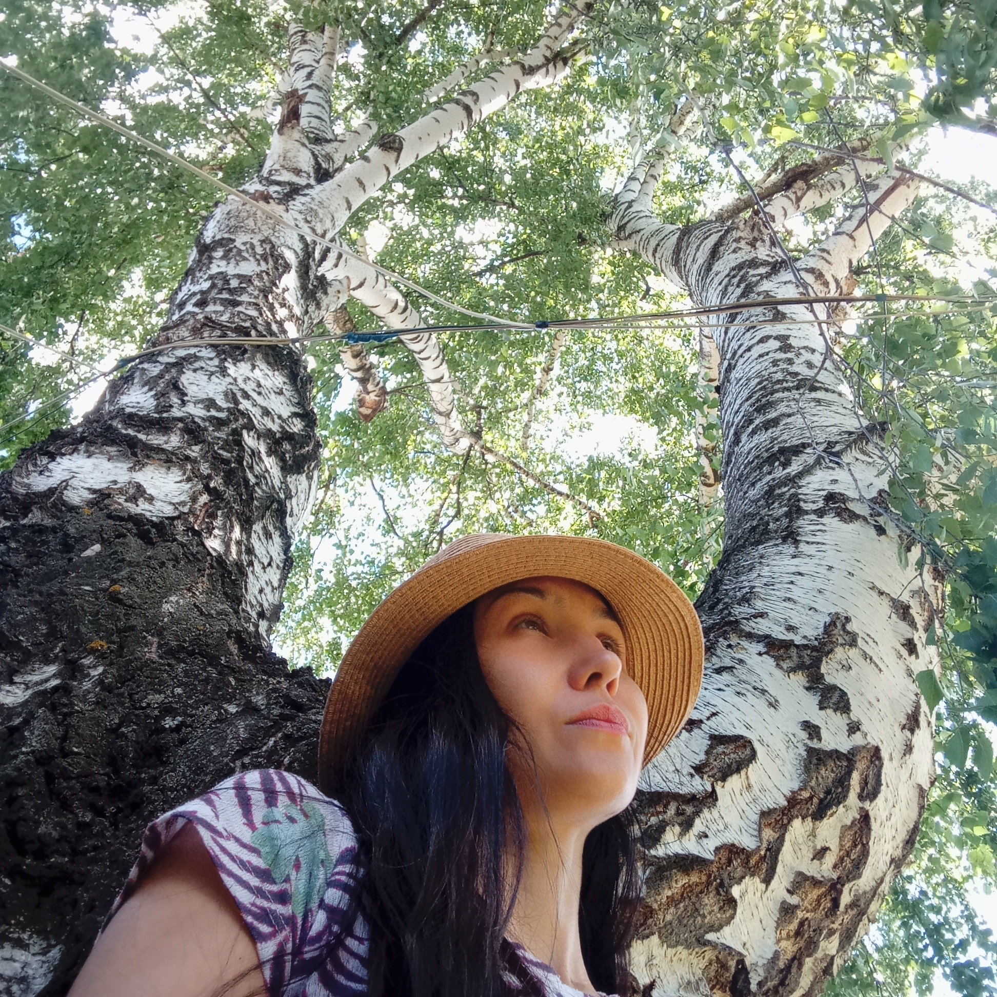 A low-angle medium shot shows a woman in the city of Буренка, Russia, leaning against the base of a tree. She is wearing a brown straw hat and a patterned shirt. She has dark hair and is looking upwards. Two birch trees surround her, their bark distinctively patterned with black and white markings. Above, the trees' leafy canopy filters sunlight. Wires are strung between the trees.