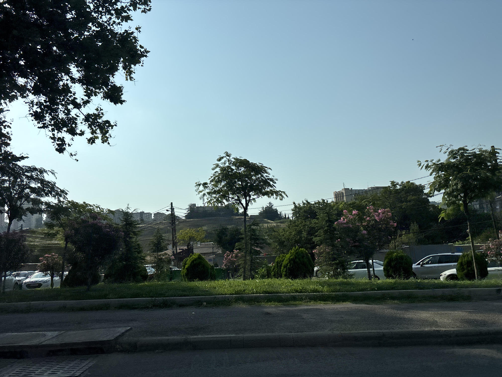The image depicts a street scene in Tbilisi, Georgia. In the foreground, a paved road transitions to a curb and a strip of green grass. Behind the grass, several parked cars are visible, including a white sedan with a red license plate, a silver SUV, and another white vehicle. A variety of trees and bushes are planted along the roadside, some with pink flowers. In the background, buildings and structures are set against a gently sloping hillside. The sky is clear and blue. The overall impression is a sunny day in a city environment.