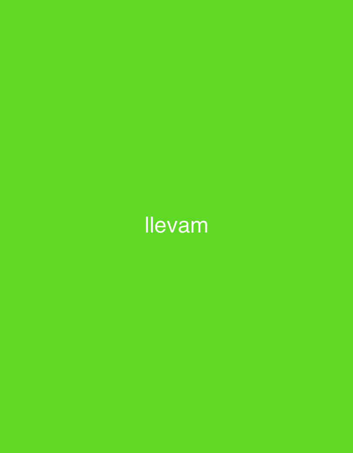 The image displays a solid, vibrant green background. Centered horizontally and slightly below the vertical midpoint of the frame, the word "llevam" is prominently displayed in a white, sans-serif typeface. No other subjects, objects, or activities are visible. The image provides no specific cues regarding time of day, weather, or location.