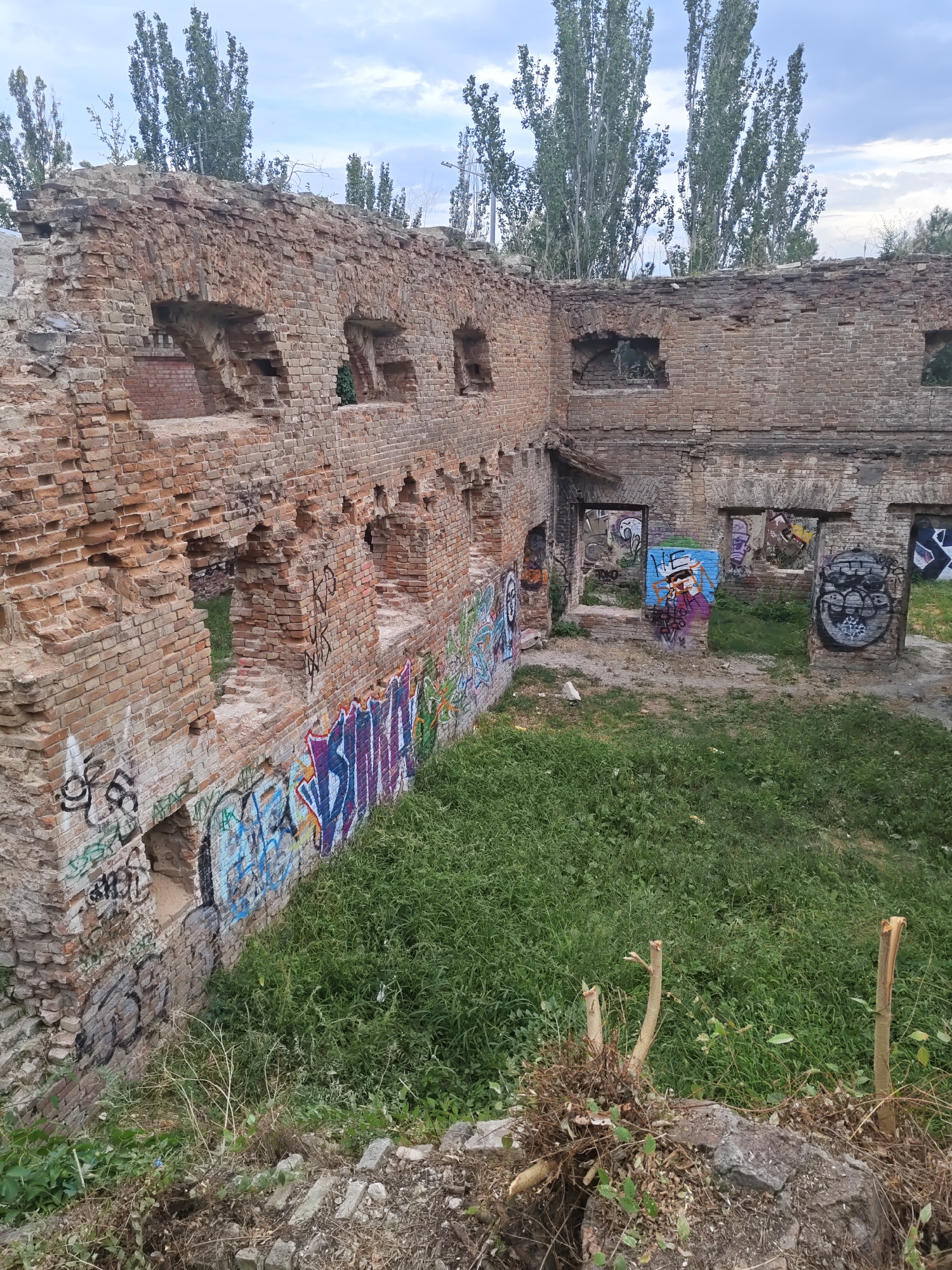The image depicts the interior of a ruined brick building in Rostov-on-Don, Russia. The structure is heavily damaged, with crumbling walls and missing sections of brickwork, revealing exposed interiors and a skyward view through gaps. The walls are extensively covered in graffiti in various colors and styles, indicating urban decay and artistic expression. Tall, slender trees line the background, their tops visible above the ruined walls against a cloudy sky. The ground inside the building is covered with dense, green grass, suggesting overgrowth and neglect. In the foreground, there are remnants of broken stones and branches. The overall scene conveys a sense of abandonment and the passage of time, typical of historical or derelict urban sites.