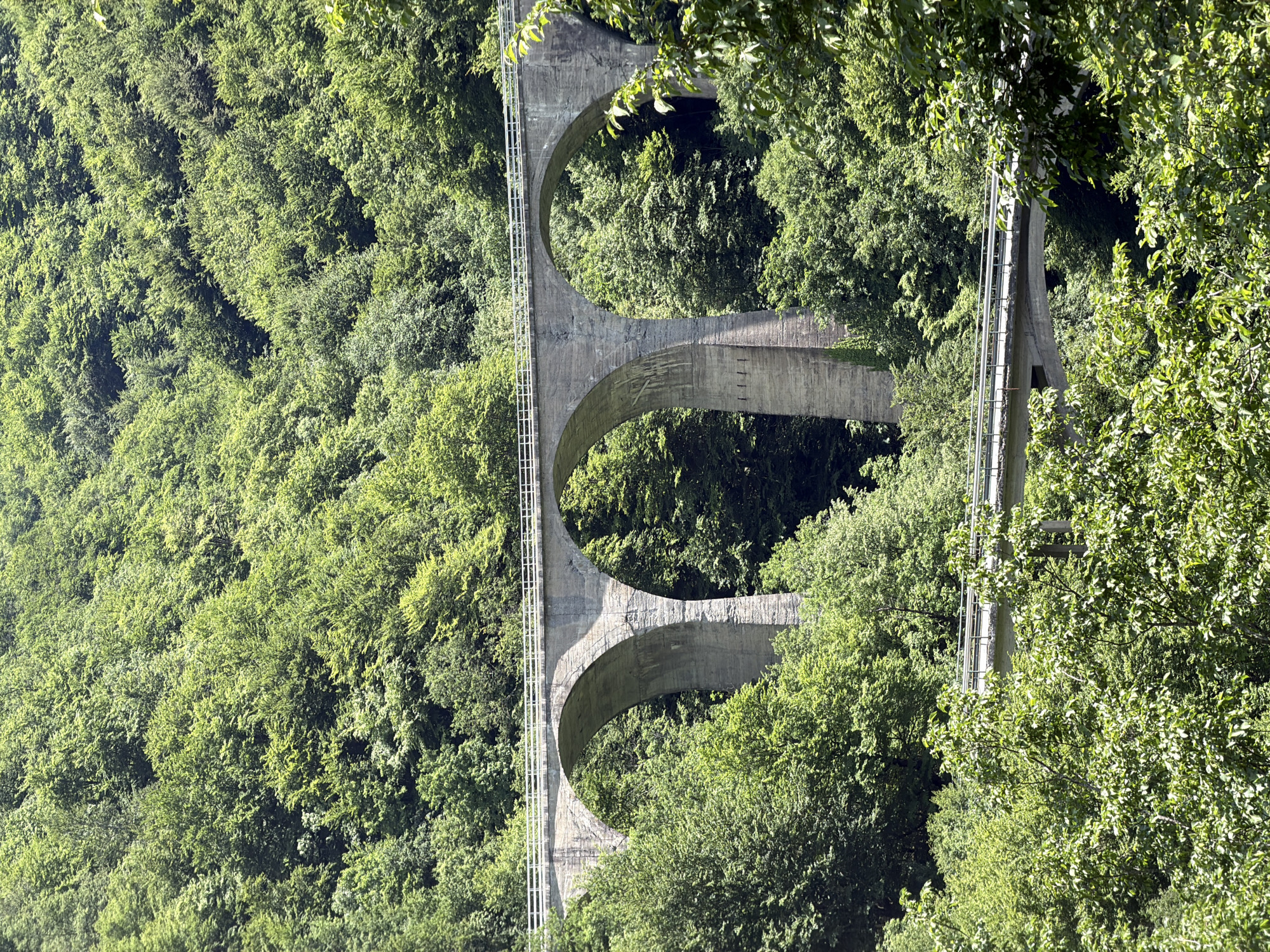 A concrete bridge with three arches spans a dense, green forest. A ladder is attached to the side of the bridge. The photograph appears to have been taken from a low angle, looking up at the bridge, potentially obfuscating location. The location is Raško, Montenegro.