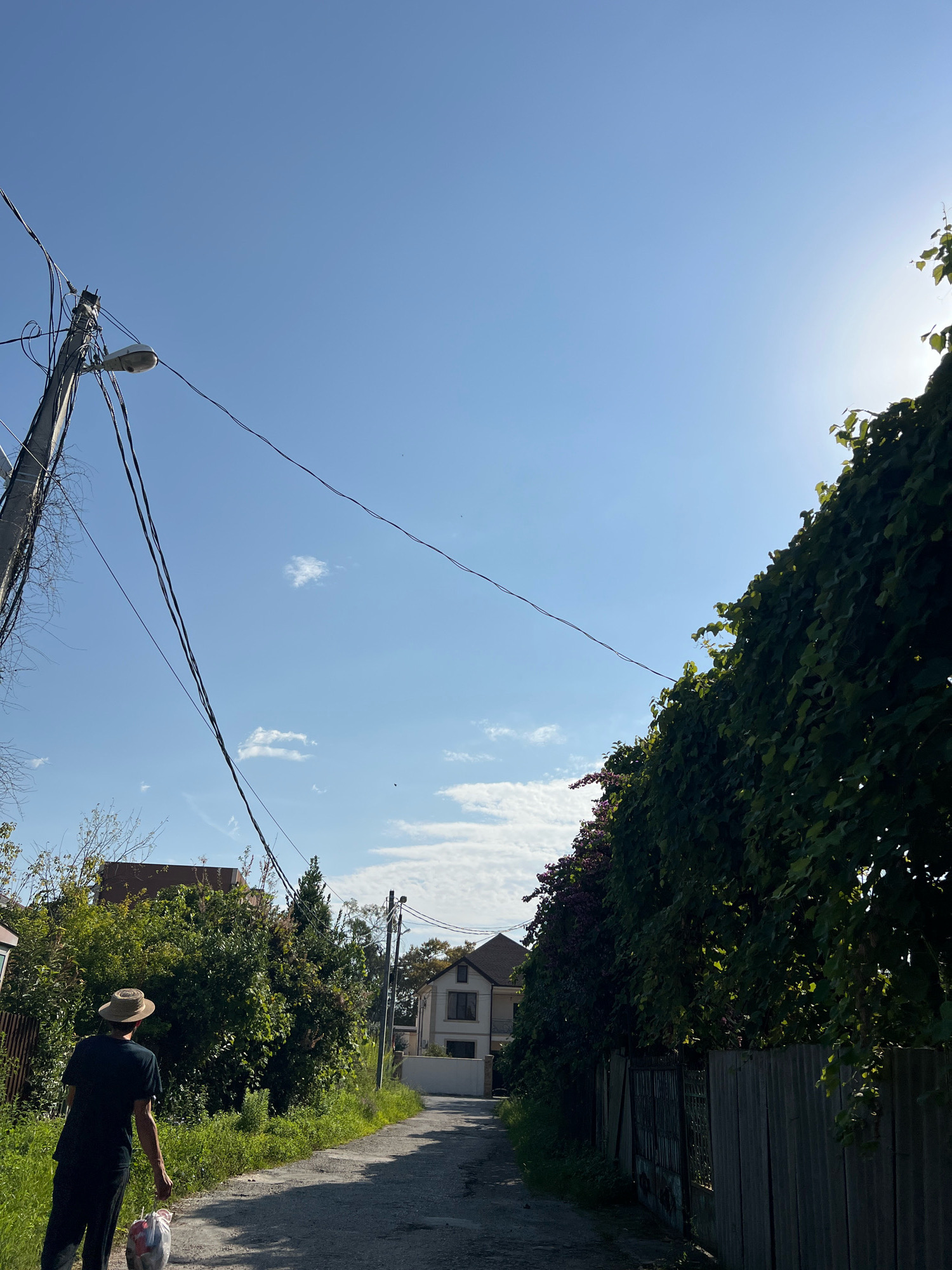 A person wearing a straw hat and dark clothing walks down a paved alleyway in Sokhumi, Abkhazia, carrying a plastic bag. The alley is lined with overgrown green foliage and a wooden fence. A power pole with multiple wires and a street lamp stands to the left of the alley, and houses are visible in the background. The sky is clear blue with a few wispy clouds. The sun is shining brightly, casting shadows and highlighting the lush greenery.
