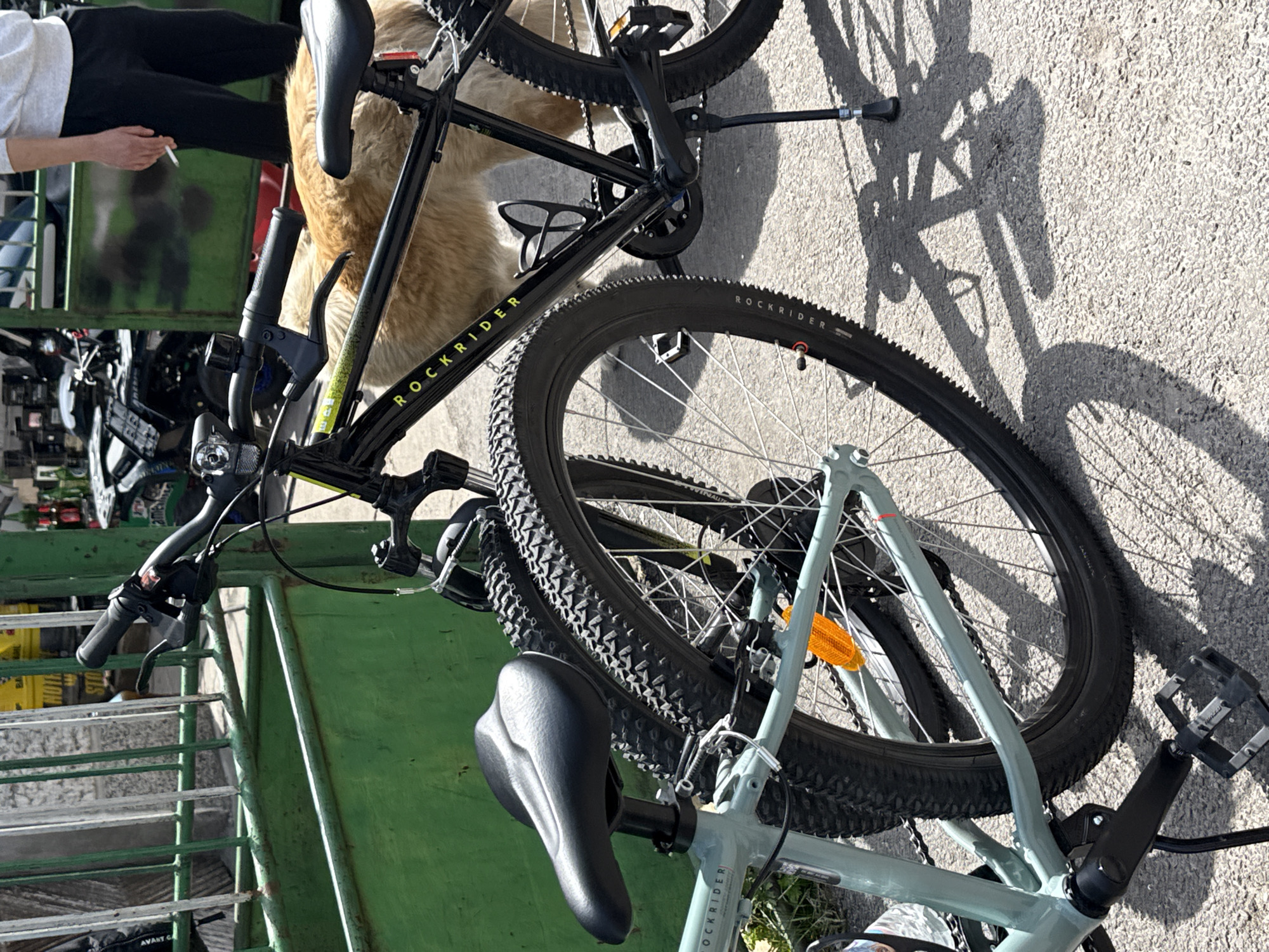 The image shows two bicycles, one black and one light blue, apparently chained together on a green metal structure. The black bicycle is labeled "ROCKRIDER." A partial view of a person in black pants and a light-colored shirt holding a cigarette is visible next to a dog. The location appears to be outdoors, potentially near a street, given the concrete surface and the shadow cast by the bikes. There is no further evidence to support that the location is in Bozhurishte, Bulgaria.