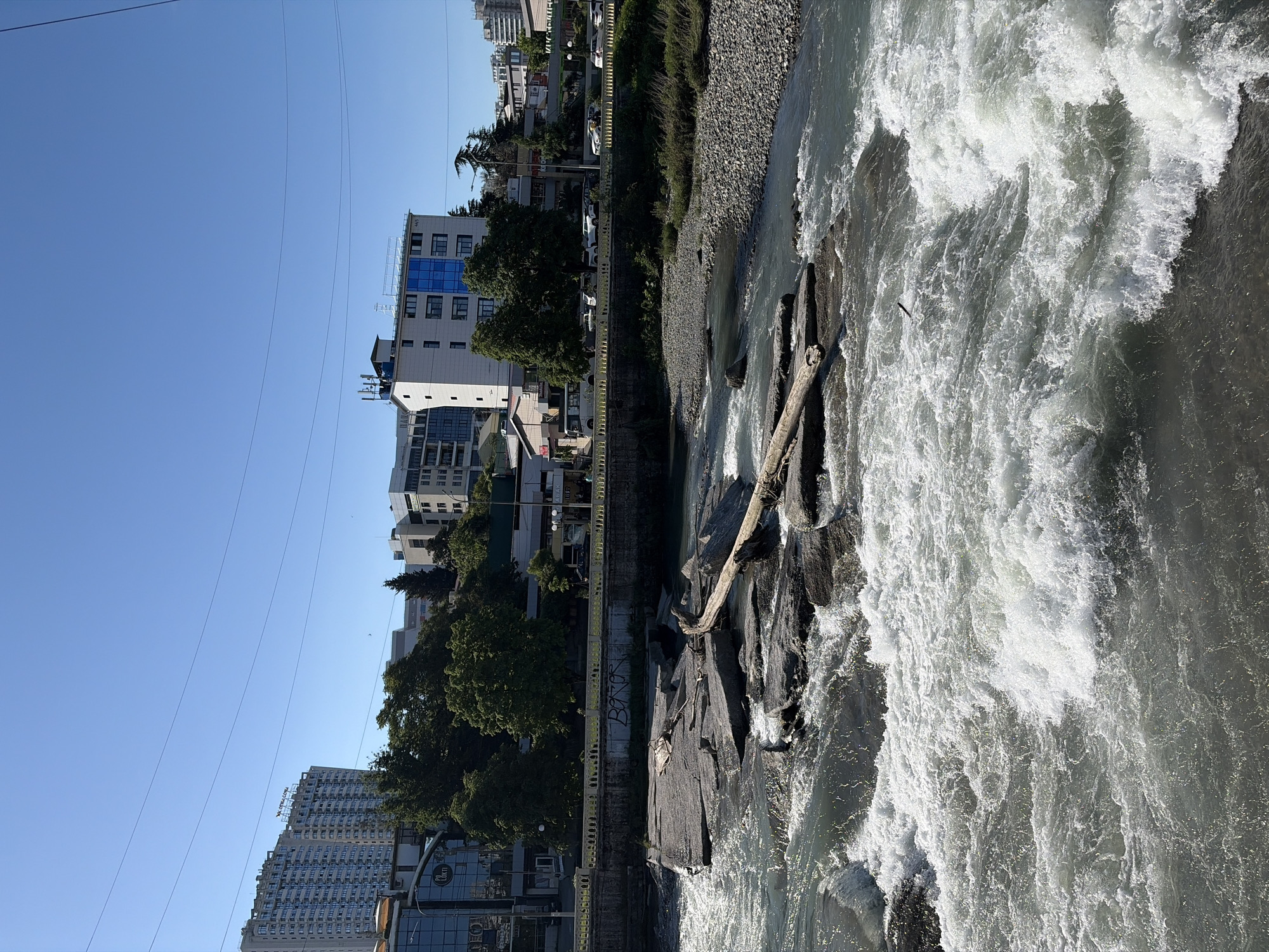 This image, correctly oriented, depicts a turbulent river flowing past an urban landscape under a clear blue sky. The wide river, occupying the right side and foreground, features strong white rapids, especially prominent around a series of dark rocks and a large, partially submerged fallen log near the left bank.
On the left bank, a rocky and gravelly shore transitions to a concrete embankment. Cyrillic graffiti, clearly showing "ВИТЯ" (Vitya), is visible on this wall. Above the embankment, a yellow guardrail or fence lines a paved area, behind which a row of green trees stands. Beyond the trees, various buildings of different sizes and styles are visible. One notable building features prominent blue-tinted windows on its upper floors. Further in the background, a tall, multi-story building displays partial text that appears to be "WEYLAND" or "GRAND" near its top, while a "CAFE" sign is visible on a lower building to the left. Cars are parked along what appears to be a street between the trees and the buildings.
The sky is bright and clear blue, with several thin utility lines stretching across the upper left. The scene is illuminated by bright sunlight, suggesting a daytime setting, likely mid-morning or afternoon. No people are discernible, and no specific activities are taking place beyond the natural flow of the river. The Cyrillic text on the embankment strongly indicates the location is in Russia, aligning with the given context of Sochi.