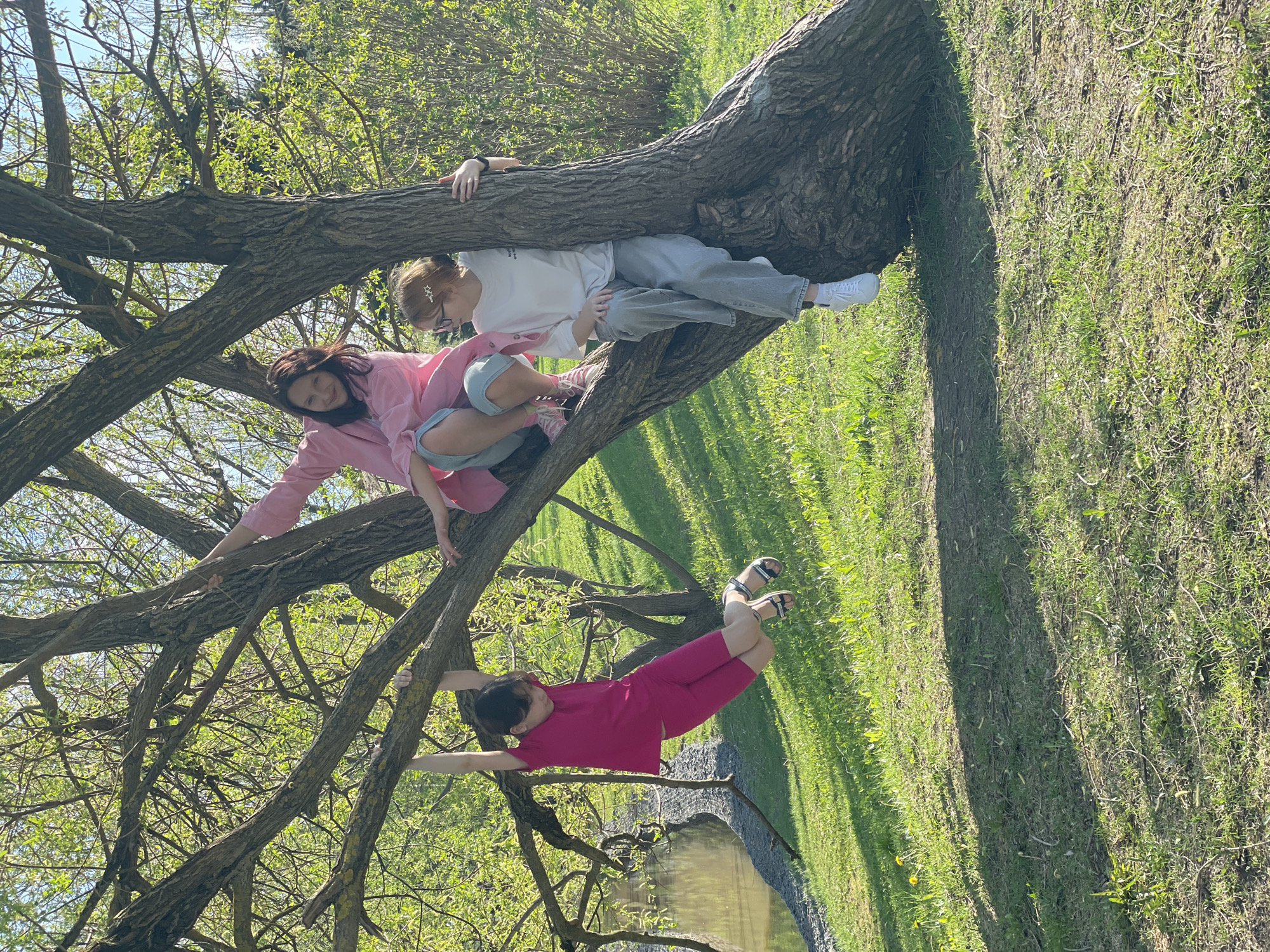 Three individuals are positioned within a tree, set against a backdrop of greenery and a partially visible body of water. The person at the top of the tree is wearing a white shirt and light gray pants. The person in the middle is wearing a pink shirt and blue shorts. The third person is wearing a pink shirt and pink shorts and is hanging onto a tree branch. The location appears to be an outdoor setting, possibly a park, with trees and green grass and a small body of water at the bottom. The precise location in Moscow, Russia, is not discernable from the image.