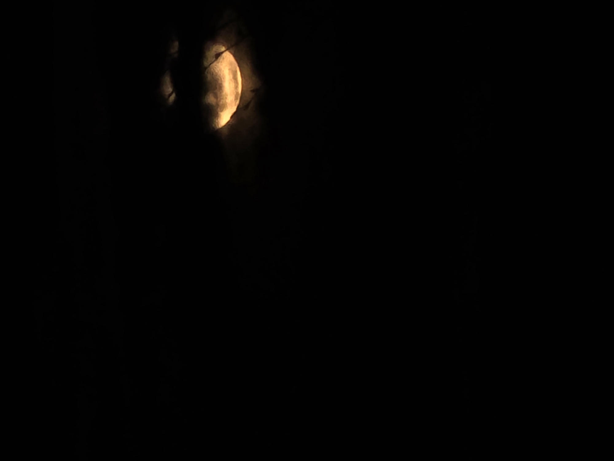 A partial moon, orange-yellow in color, is partially obscured by dark tree branches or clouds in an otherwise dark night sky.