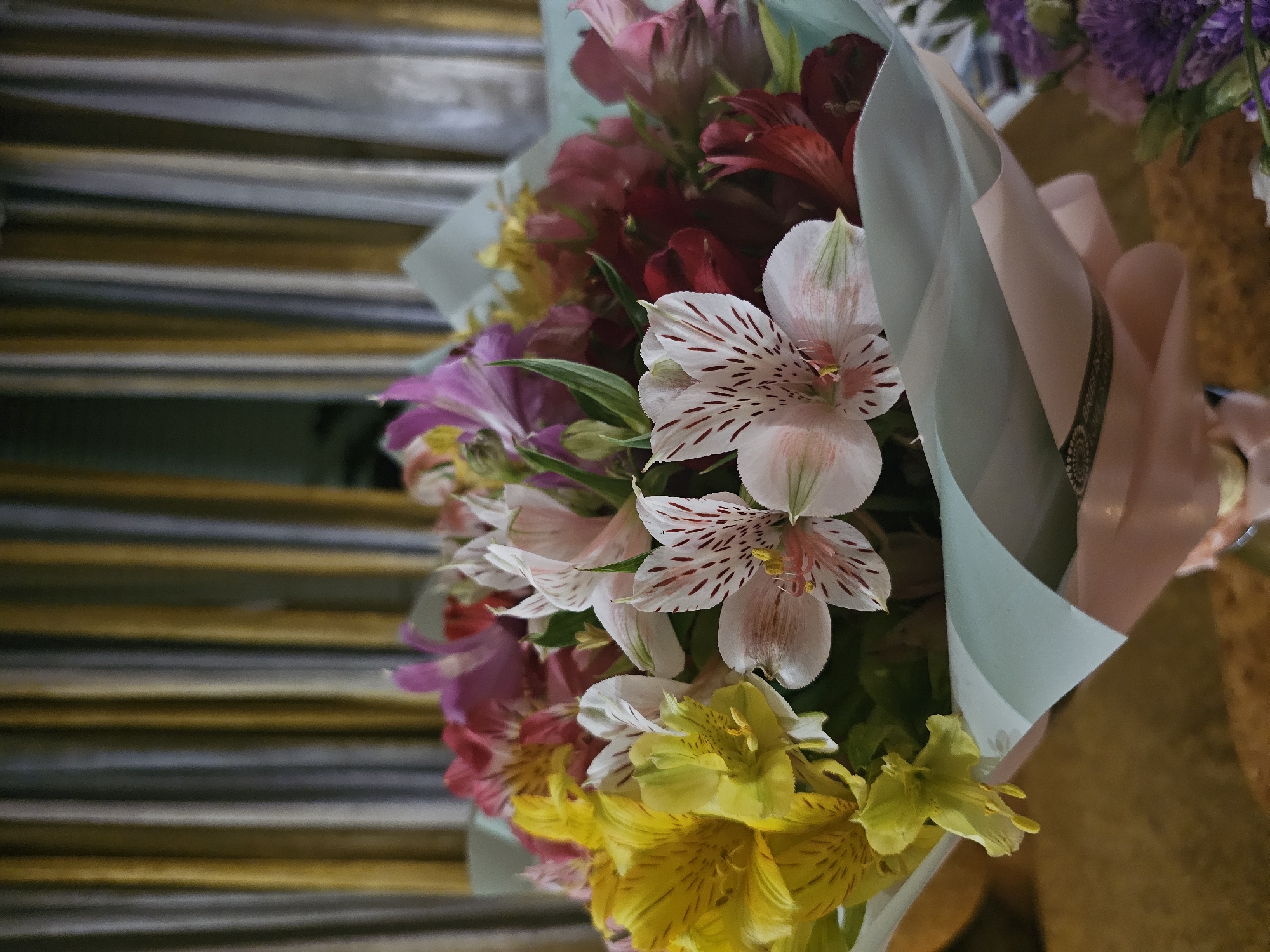 A close-up, vertical shot captures a vibrant bouquet of alstroemeria flowers. The flowers are a mix of yellow, pink, white, and deep red hues, with delicate speckles adorning some of the petals. The bouquet is wrapped in light blue and pink paper, tied with a patterned ribbon. In the background, striped curtains with yellow and gray tones are visible, creating a soft, out-of-focus backdrop. The image is lit with warm, artificial light, casting subtle shadows. The overall scene is that of a gift or decorative arrangement, likely indoors. There is no identifiable location within the city of Skadovsk, Ukraine, or any specific context provided beyond the visual elements present in the image itself.