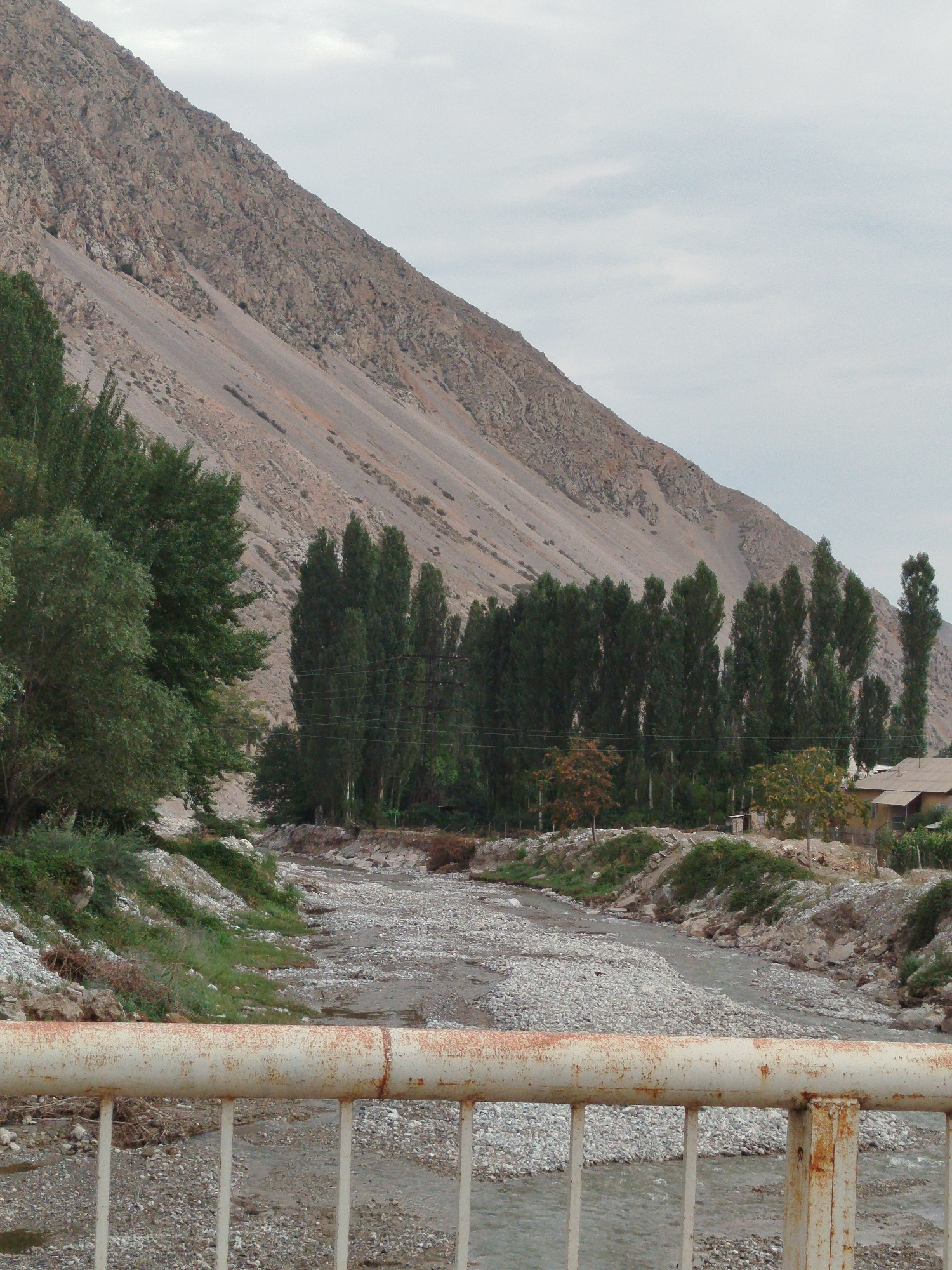 The image depicts a natural landscape in Orozbekov, Kyrgyzstan, characterized by a steep, rocky mountain slope dominating the background. A narrow, stony riverbed meanders through the foreground and midground, with a sparse flow of water. Dense trees, predominantly tall and slender, line the riverbanks, creating a green contrast against the muted tones of the mountain and sky. In the distance, a few small buildings are visible, suggesting a small settlement. A rusted metal railing runs across the bottom of the frame, indicating the vantage point is from a bridge or elevated walkway overlooking the scene. The sky is overcast, contributing to the subdued lighting.