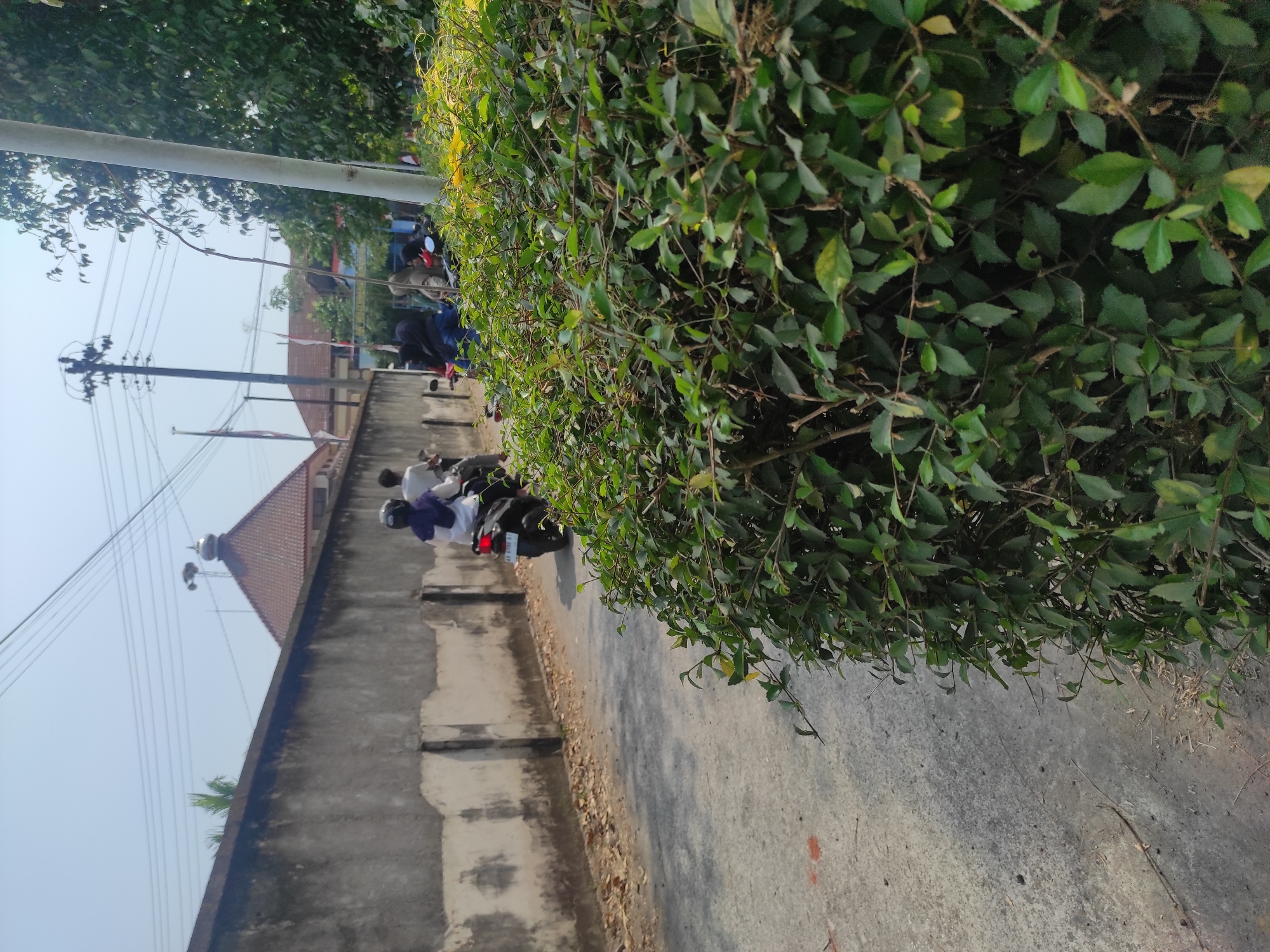 In Pleret, Indonesia, on a clear day, a paved road runs alongside a rough, grey concrete wall. The wall is adorned with streaks and marks, suggesting age and weathering. Beyond the wall, a building with a brown, conical roof and a decorative finial is visible. Several utility poles with electrical wires stretch across the sky. A dense hedge of vibrant green leaves lines the right side of the road, partially obscuring the view. Several individuals on motorcycles are traveling away from the viewer on the road. One person in the foreground is wearing a blue headscarf and a white shirt, while another person behind them is wearing a white shirt. The road surface is somewhat rough and scattered with a few dry leaves.