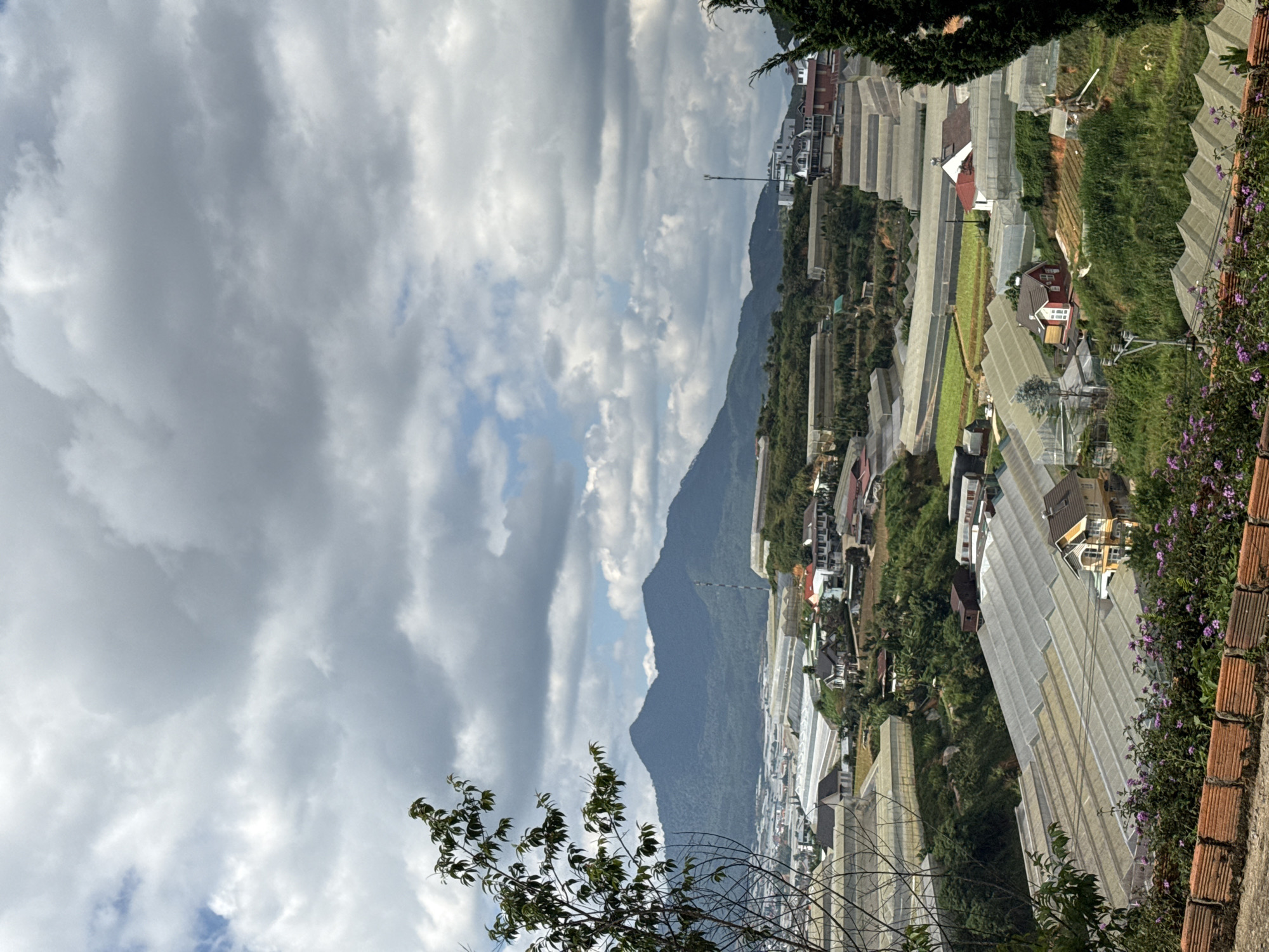 The image shows a landscape view of Lạc Dương, Vietnam. Mountains rise in the distance under a sky filled with heavy clouds. In the foreground, numerous greenhouses dot the landscape, interspersed with homes and vegetation. Purple flowers grow along a brick structure on the right. Some trees appear in the lower left of the image.