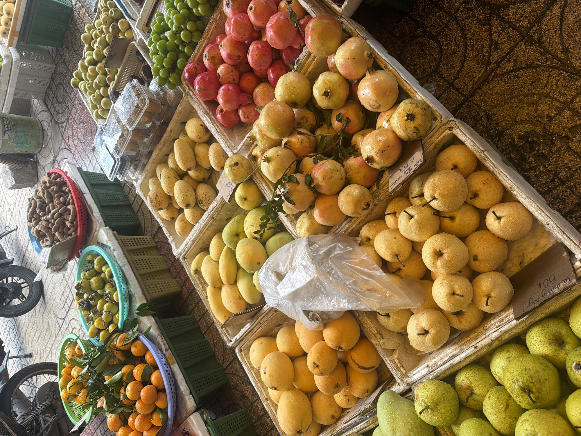 This image captures a vibrant fruit stall in Nha Trang, Vietnam, likely located on a street or outdoor market given the tiled ground and proximity to a motorbike. The scene is dominated by an abundance of fresh produce, meticulously arranged in various baskets and containers.
In the foreground, a large white basket overflows with yellow-green pears, some of which have water droplets on their surfaces, indicating they may have been recently washed or are naturally moist. To the right of the pears, another container holds a collection of yellow and red pomegranates, some glistening with water. Adjacent to the pomegranates, a crate is filled with bright green grapes.
Further back, a variety of other fruits are visible. A basket in the middle ground contains numerous yellow mangoes, and another displays a mix of orange tangerines and some darker, possibly persimmon-like fruits. In the background, a large basket is filled with tamarind pods, and another holds more tangerines. The fruits are presented in a way that suggests a marketplace setting, with stacked containers and a general sense of abundance. The overall impression is one of a fresh, lively, and colorful display of local produce.