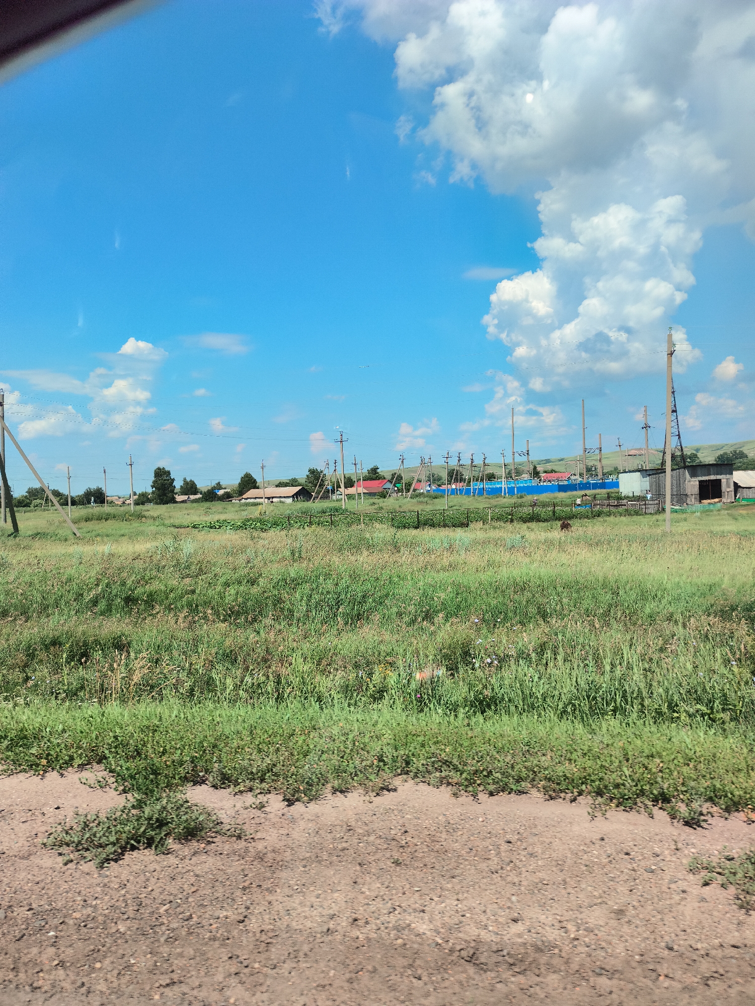 The image captures a rural landscape with a bright blue sky dotted with white, fluffy clouds. A vast expanse of green grass and vegetation dominates the foreground and midground, with several power poles and wires interspersed throughout. In the distance, a cluster of houses with red and brown roofs can be seen, suggesting a small village. A blue-covered structure is also visible, possibly a storage building or a farm implement. The ground in the immediate foreground is a dirt road with small stones and sparse green plants. The overall scene depicts a sunny day in a rural setting.