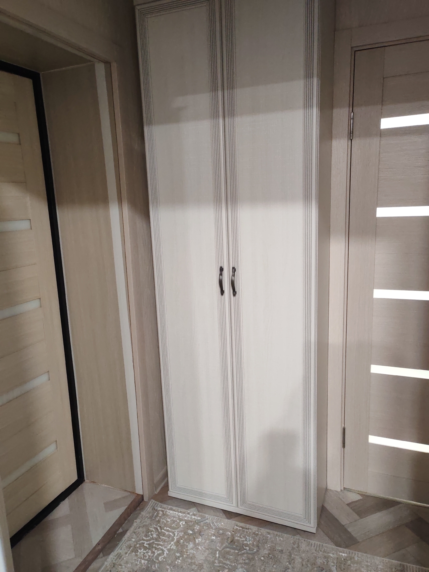 A narrow, light-colored wardrobe with two doors and dark handles stands in the center of the frame. The doors have vertical decorative lines. To the left of the wardrobe is a door with a black frame and horizontal frosted glass panels. To the right of the wardrobe is another door with a similar light color and three horizontal frosted glass panels. The floor is covered with a rug with a patterned design and a herringbone wood floor. The scene appears to be an interior hallway.