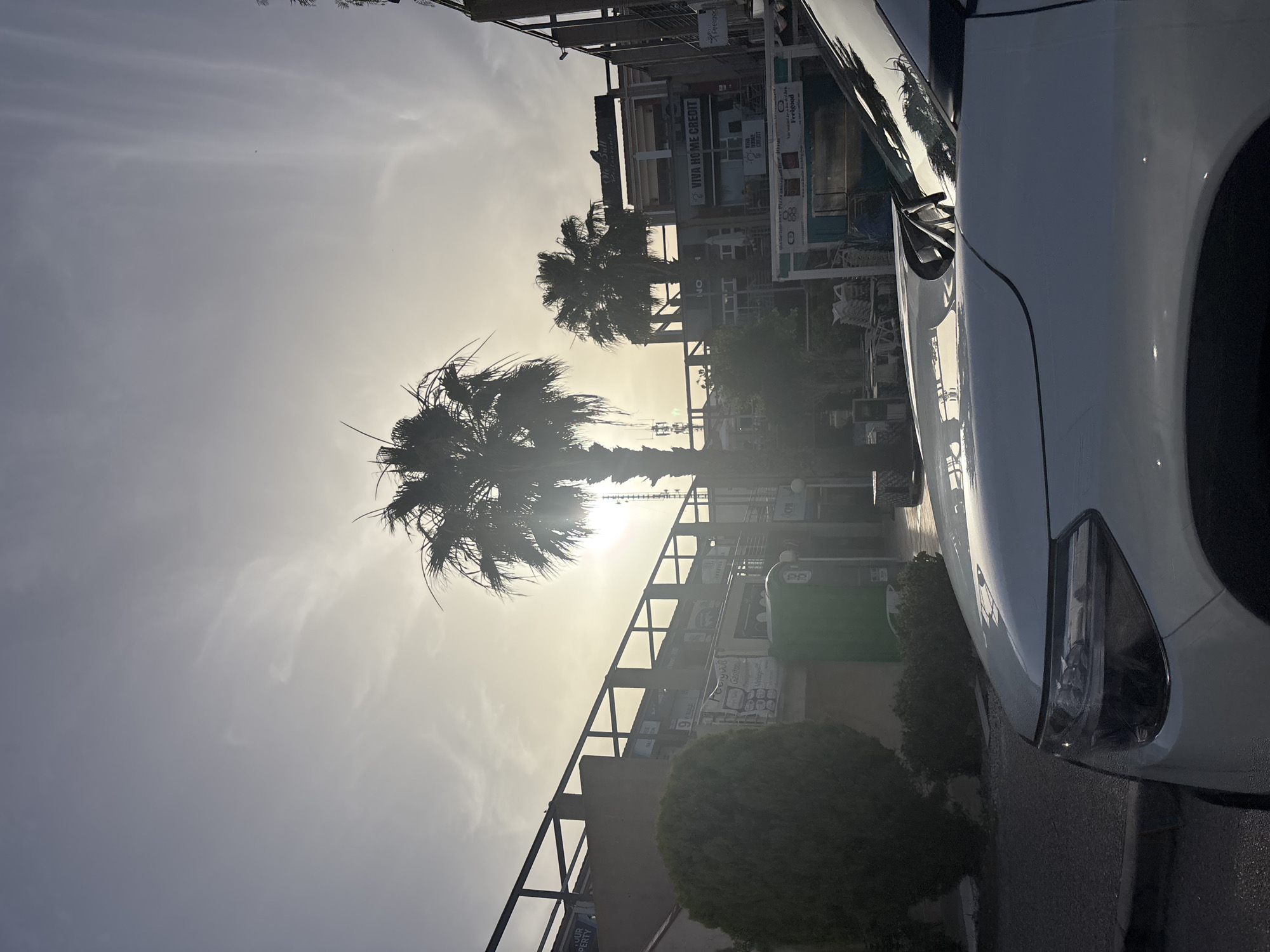 The image depicts a street scene in Orihuela, Spain, bathed in the warm light of a setting or rising sun. The sun is partially obscured by a prominent palm tree in the foreground, creating lens flare and casting long shadows. In the foreground, the hood and headlight of a white vehicle are visible, occupying the lower right portion of the frame. Behind the car, a pathway or road leads towards buildings with storefronts and balconies. Several palm trees are scattered throughout the scene, with one large specimen dominating the mid-ground. A green public waste bin is positioned near a building. Signs are visible on the buildings, some with text that is partially readable, including "VIVA HOME CREDIT" and "Feelgood." The overall environment suggests a commercial or residential area with a Mediterranean feel. There are no people clearly visible in the image.