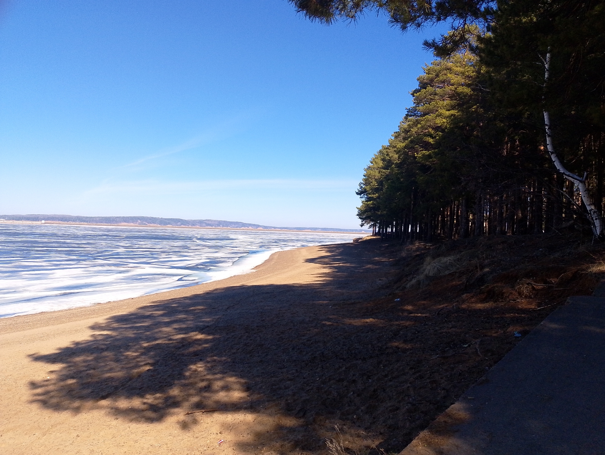 The image shows a sandy beach on the edge of a body of water partially covered with ice. A line of evergreen trees borders the beach. The sky is clear and blue. The location is Unknown, Unknown.