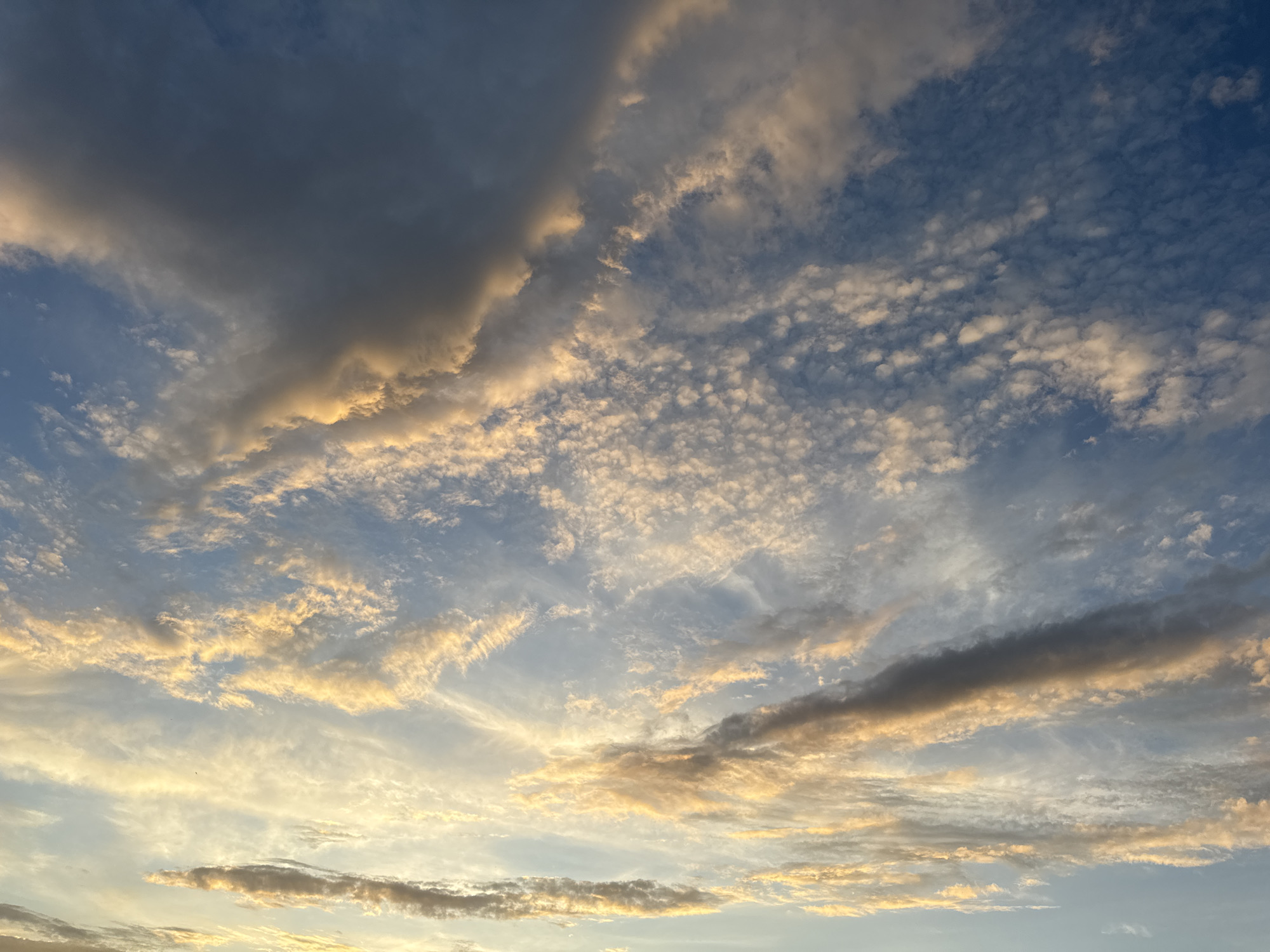 The image captures a detailed view of the sky over Yerevan, Armenia, during either sunrise or sunset. The upper left portion of the frame is dominated by a large, dense, dark grey cloud mass, with its bottom edge and some internal contours illuminated by warm, golden light. Moving towards the upper right, the sky transitions to a distinct blue, populated by numerous small, fragmented, and somewhat textured white clouds, resembling altocumulus or cirrocumulus formations. The central and lower regions of the sky feature more elongated, stratiform clouds and scattered smaller cloud patches, intensely backlit or illuminated from below by strong golden and orange hues, indicating a low sun angle. The sky color in these areas ranges from pale blue to a light yellowish-white where the light is most concentrated. No people, objects, structures, or ground elements are visible within the frame.