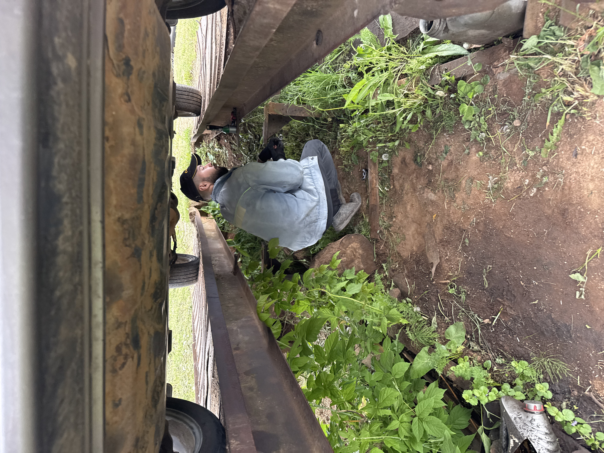 A man is depicted crouching or squatting underneath a large, rusty metal structure, likely a vehicle chassis or trailer frame, in an outdoor setting. He is wearing a dark baseball cap, a light blue or grey jacket, and dark trousers, and has a beard. His gaze is directed upwards, indicating he is inspecting or working on the underside of the heavy-duty metal frame.
The ground beneath and around the structure is a mix of brown dirt and patches of green vegetation, including grass, weeds, and leafy plants. Parts of wheels and tires are visible beneath the metal beams. Near the man's right hand, a tool with a red cap, possibly a wrench or a component of a jack, is visible, suggesting active maintenance or repair work. A white plastic container is also partially visible in the background.
The scene takes place during the daytime under what appears to be an overcast sky, as the lighting is diffused with no harsh shadows. The rustic environment, characterized by unpaved ground and overgrown foliage, suggests a rural or outdoor workspace. The man's expression conveys focus and concentration on his task. No visible text is present in the image. The location context for this image is Бородулино, Russia.