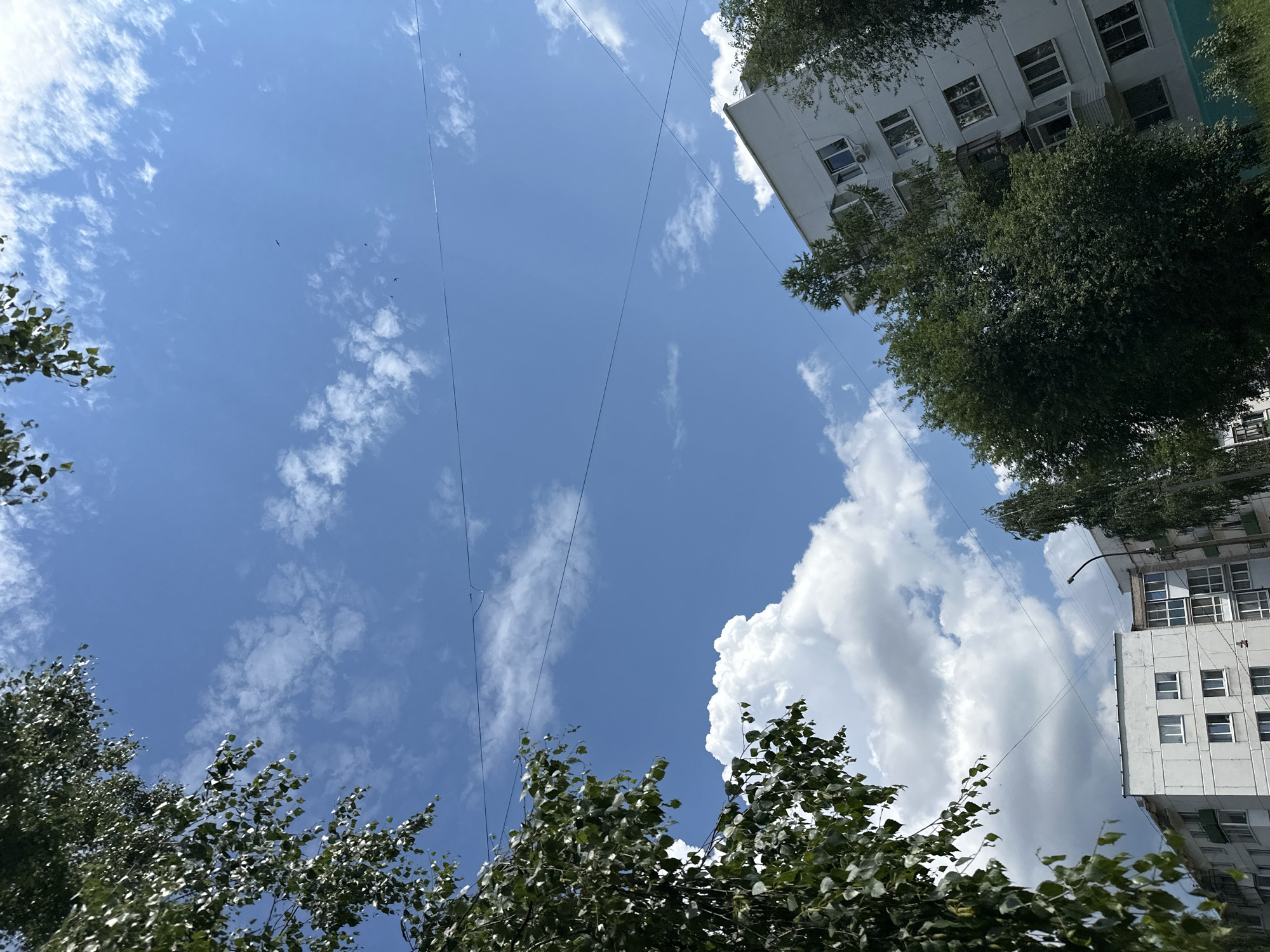 This is a low-angle, full shot photograph taken outdoors in Chaikovsky, Russia, on a sunny day with scattered clouds. The image is dominated by a bright blue sky, with several wispy white clouds present, and one large cumulus cloud formation in the lower left quadrant. Overhead power lines are visible crisscrossing the sky.
In the foreground and along the edges of the frame, the tops of trees with green foliage are visible. The branches of a birch tree frame the upper left portion of the image, with its leaves catching the sunlight.
In the lower half of the image, two apartment buildings are visible. The building on the right is a multi-story structure, primarily white with many windows and balconies. An air conditioning unit is visible on one of the windows. The building on the left is also an apartment building, appearing lighter in color with a similar architectural style. Green trees partially obscure the lower sections of both buildings. A street lamp is visible between the two buildings on the right. No people are visible in the frame. The overall scene depicts a typical urban residential area under a bright sky.