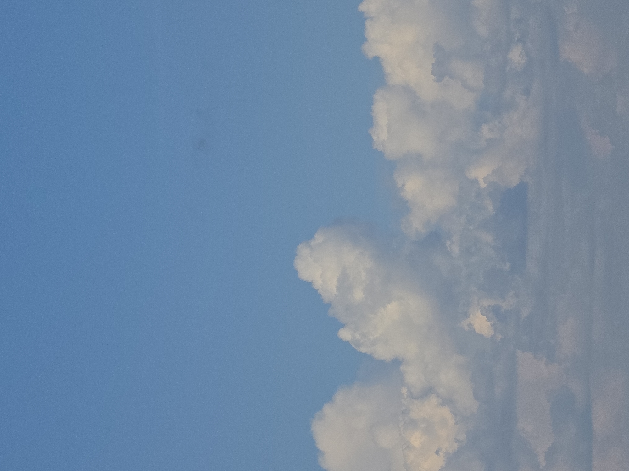 The image shows a clear blue sky with a line of fluffy white clouds along the horizon. The clouds appear to be cumulus clouds, characterized by their rounded tops and flat bases. The sky is bright and the clouds are well-lit, suggesting it is daytime. There are no people, buildings, or other identifiable objects in the image. The scene appears to be an outdoor natural environment. There is no information to suggest the location is in Chaikovsky, Russia.