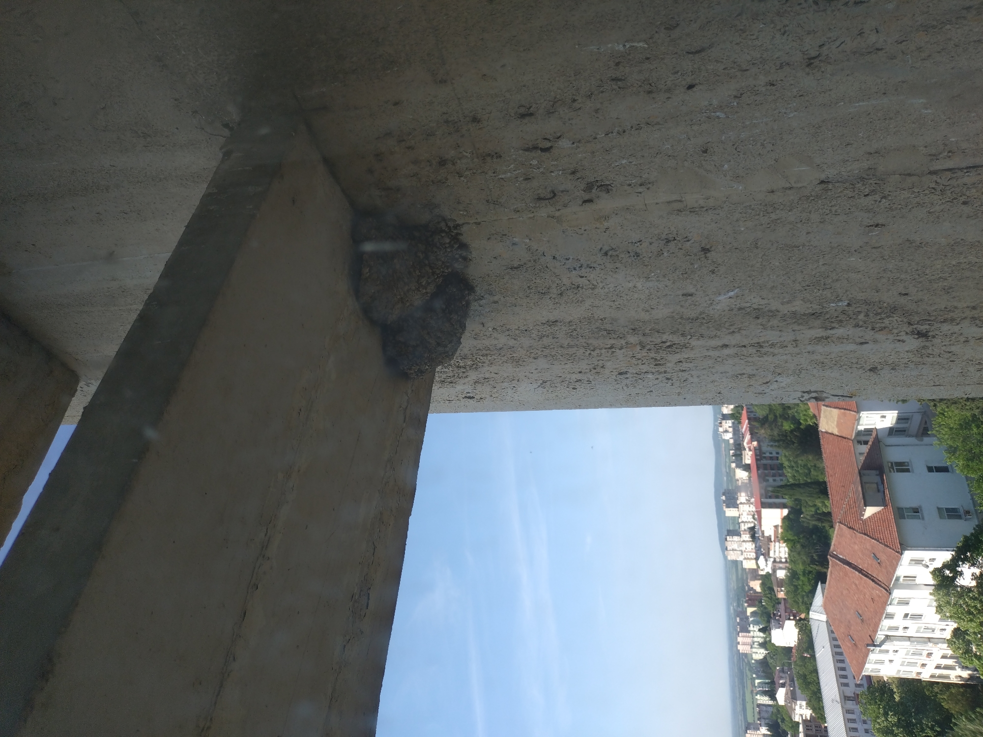 The image shows an upward view from under a concrete structure, possibly a bridge or building overhang, in Stara Zagora, Bulgaria. A clump of mud, potentially a bird's nest, is attached to the underside of the structure. The sky is visible between the concrete elements. In the distance, buildings and trees of Stara Zagora are visible.