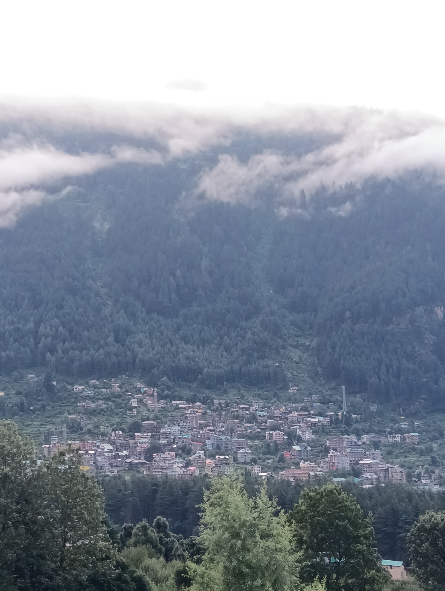 This image captures a panoramic view of Manali, India, a scenic town nestled in the Kullu Valley of Himachal Pradesh. The scene is dominated by lush green mountains, densely forested with coniferous trees. Wisps of white clouds drift across the mountain peaks, partially obscuring them and adding a mystical ambiance. In the mid-ground, a cluster of buildings forms the town of Manali, with houses and multi-story structures spread across the hillside. The architecture appears to be a mix of traditional and modern styles, with many buildings featuring sloped roofs. The foreground is filled with the dense foliage of trees, framing the view of the town and mountains. The overall impression is one of a serene, natural landscape with a human settlement integrated into it.