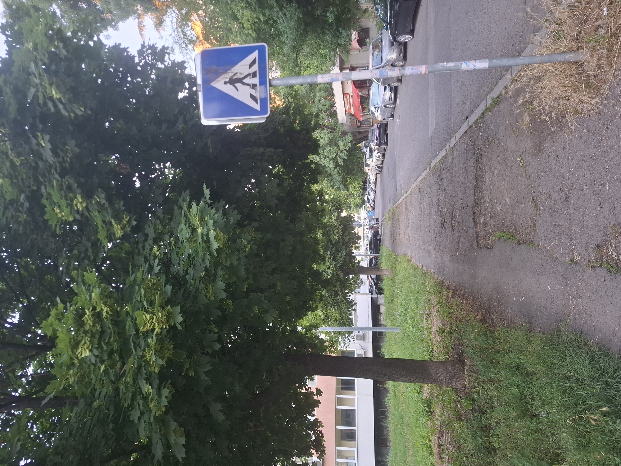 The image shows a pedestrian crossing sign on a sidewalk next to a street lined with parked cars and trees. The sign is a blue square with a white border, containing a white triangle with a black silhouette of a person walking across a crosswalk. The sidewalk is made of asphalt and is in moderate condition, with some patches of disrepair. Green grass and trees line the left side of the sidewalk, and a building with light-colored walls and windows is visible behind the trees. The street is paved and appears to be in good condition, with several cars parked on the right side. The scene suggests a typical urban or suburban environment.